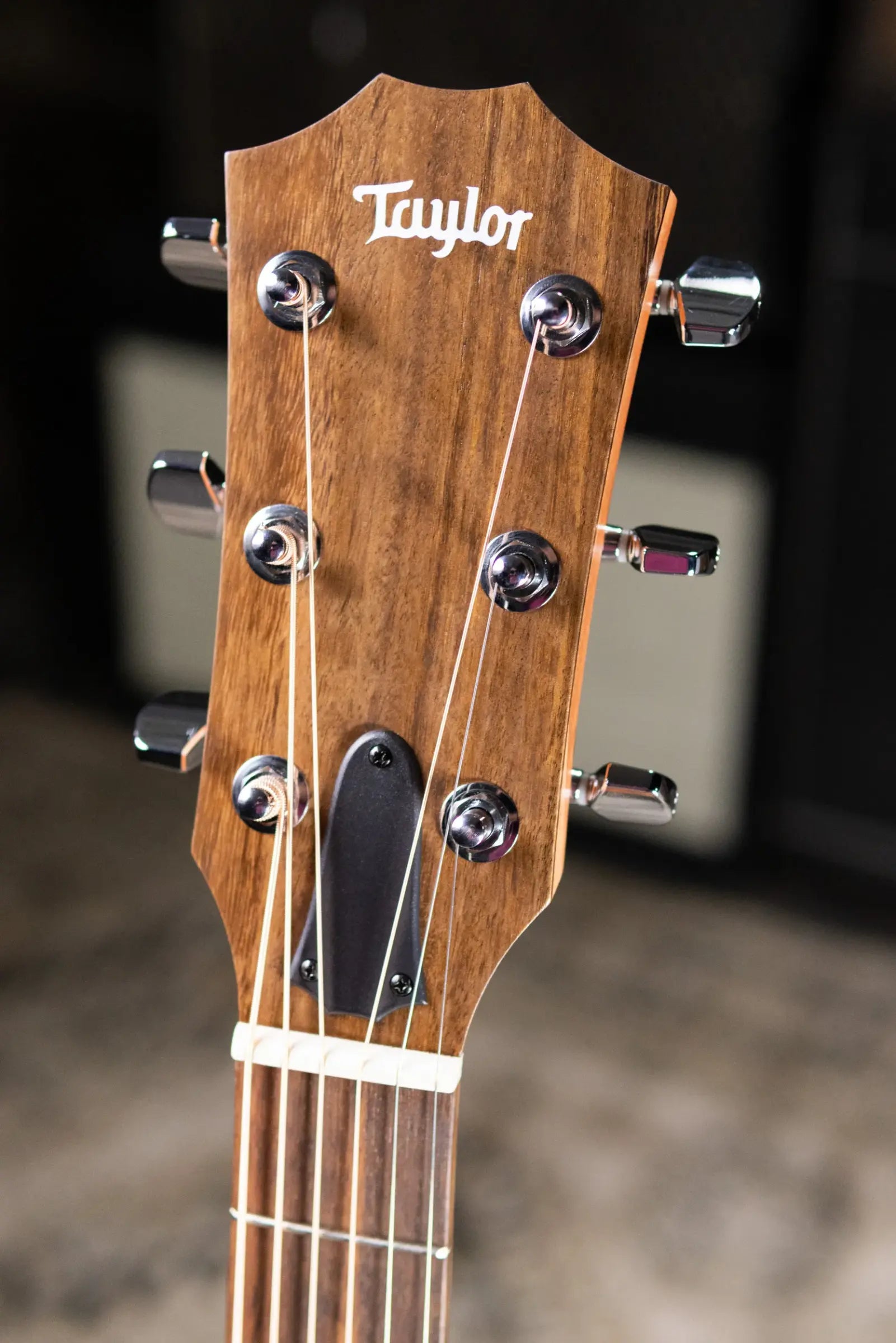 Taylor 114ce Grand Auditorium Acoustic-Electric Guitar with Structured Gig Bag