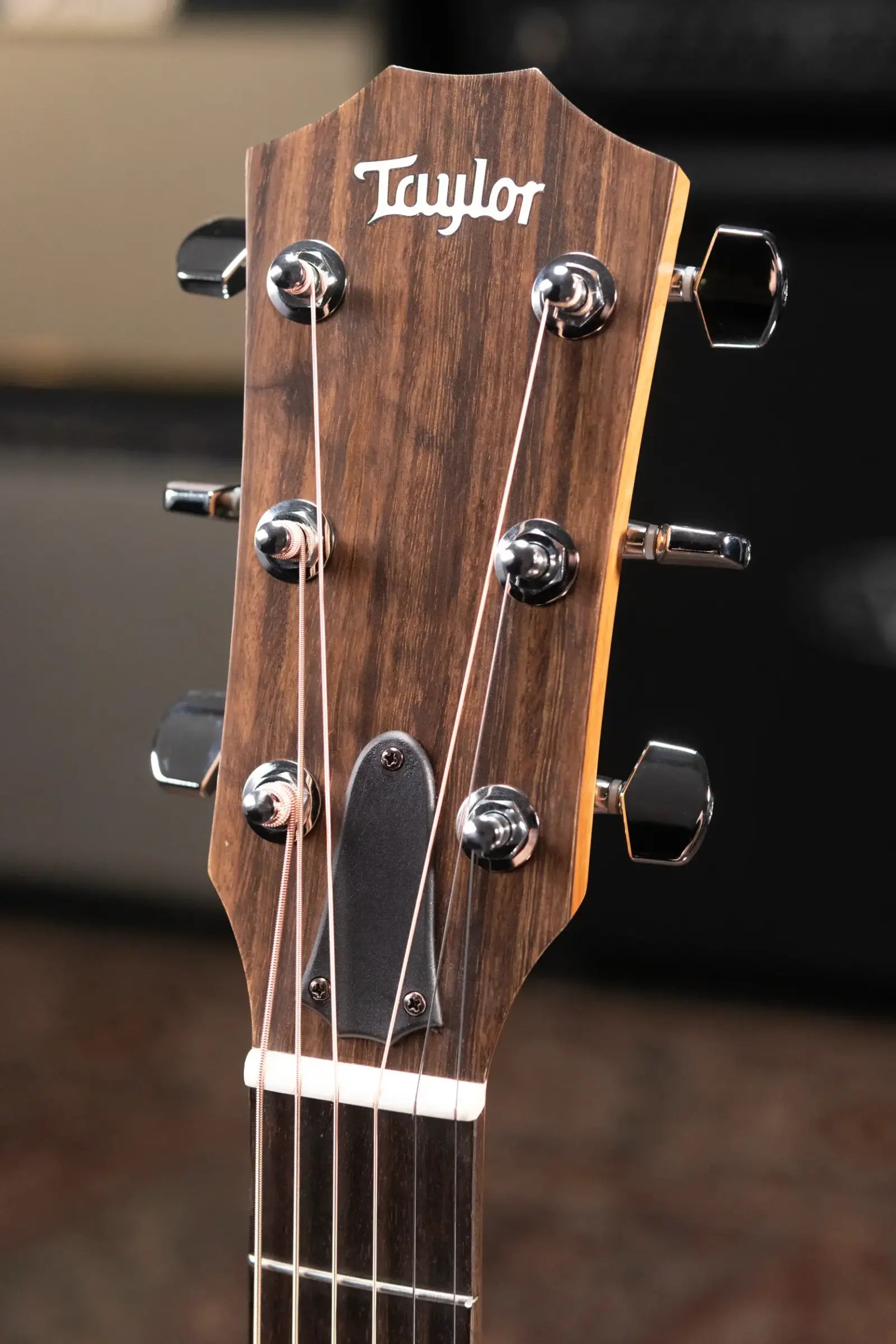 Taylor 117e Grand Pacific Acoustic/Electric Guitar with Gig Bag