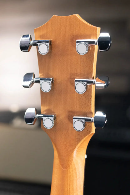 Taylor 117e Grand Pacific Acoustic/Electric Guitar with Gig Bag