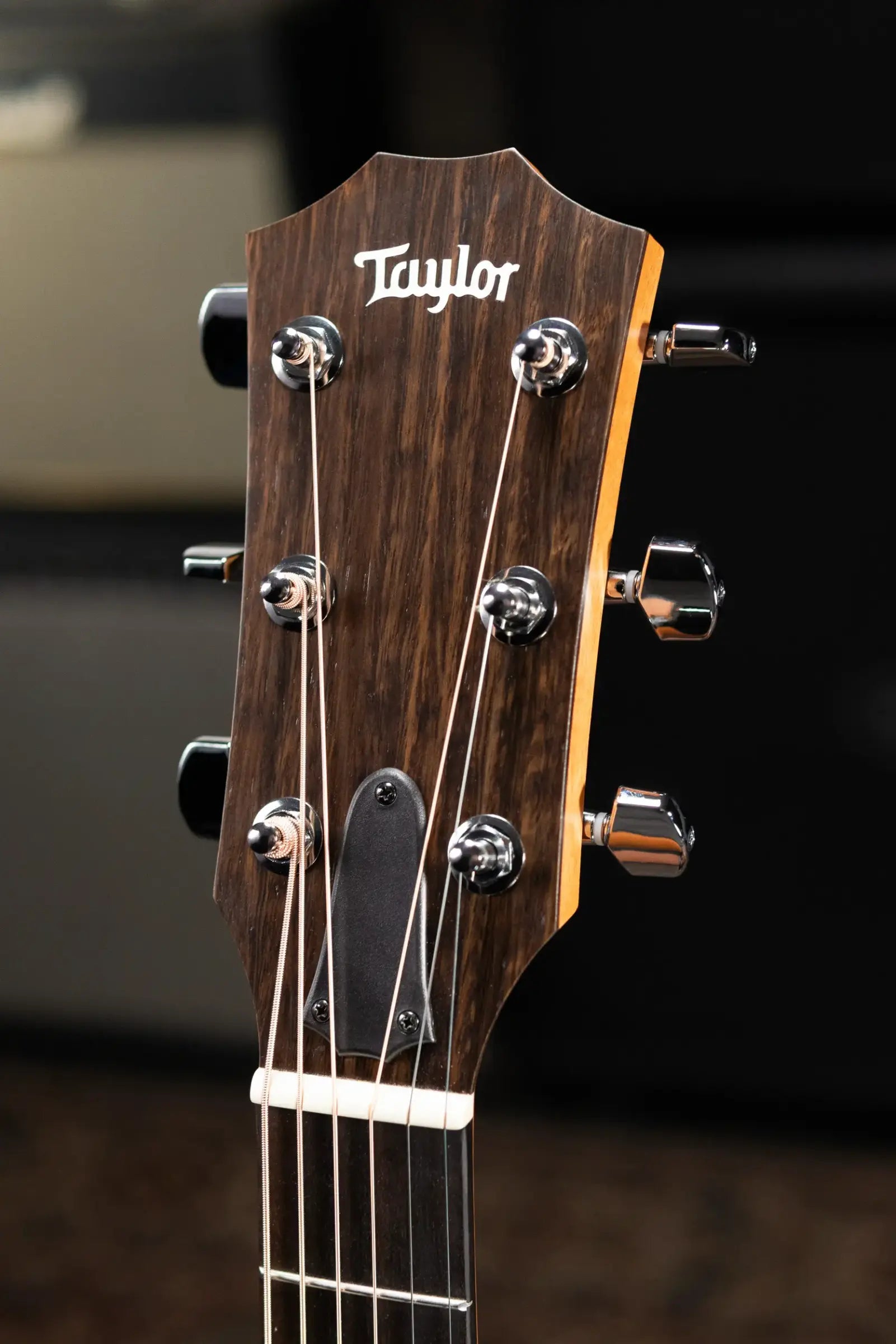 Taylor 117e Grand Pacific Acoustic/Electric Guitar with Gig Bag