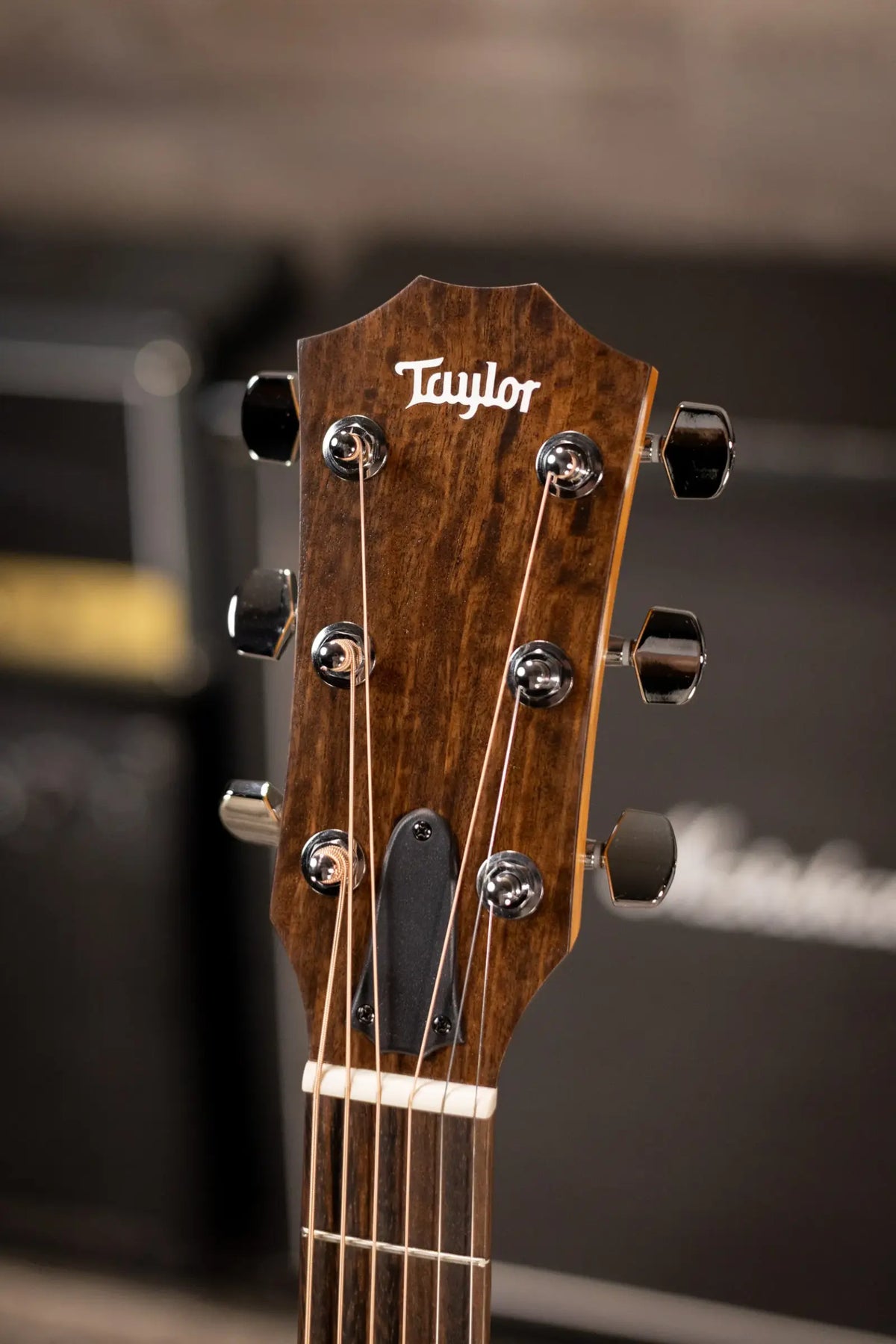 Taylor 117e Grand Pacific Acoustic/Electric Guitar with Gig Bag