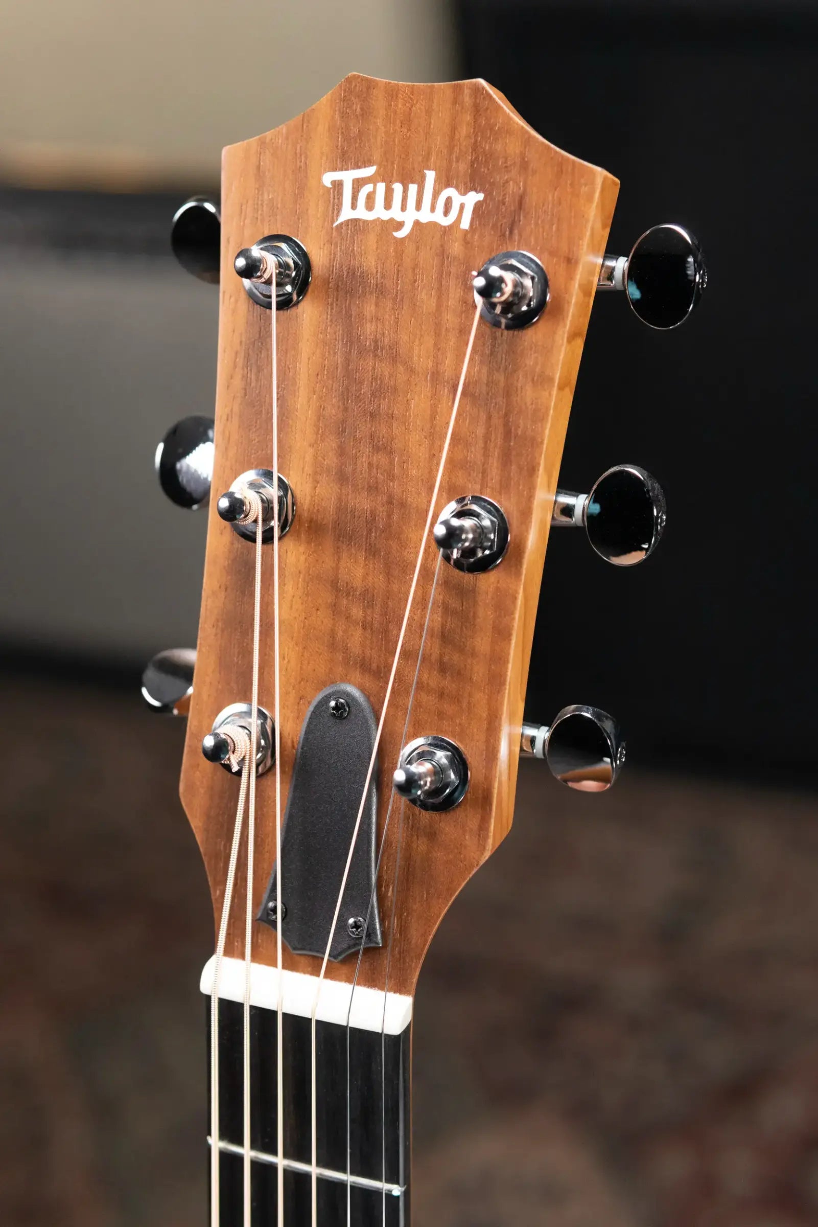 Taylor 14ce Grand Auditorium Acoustic/Electric Guitar with Gig Bag