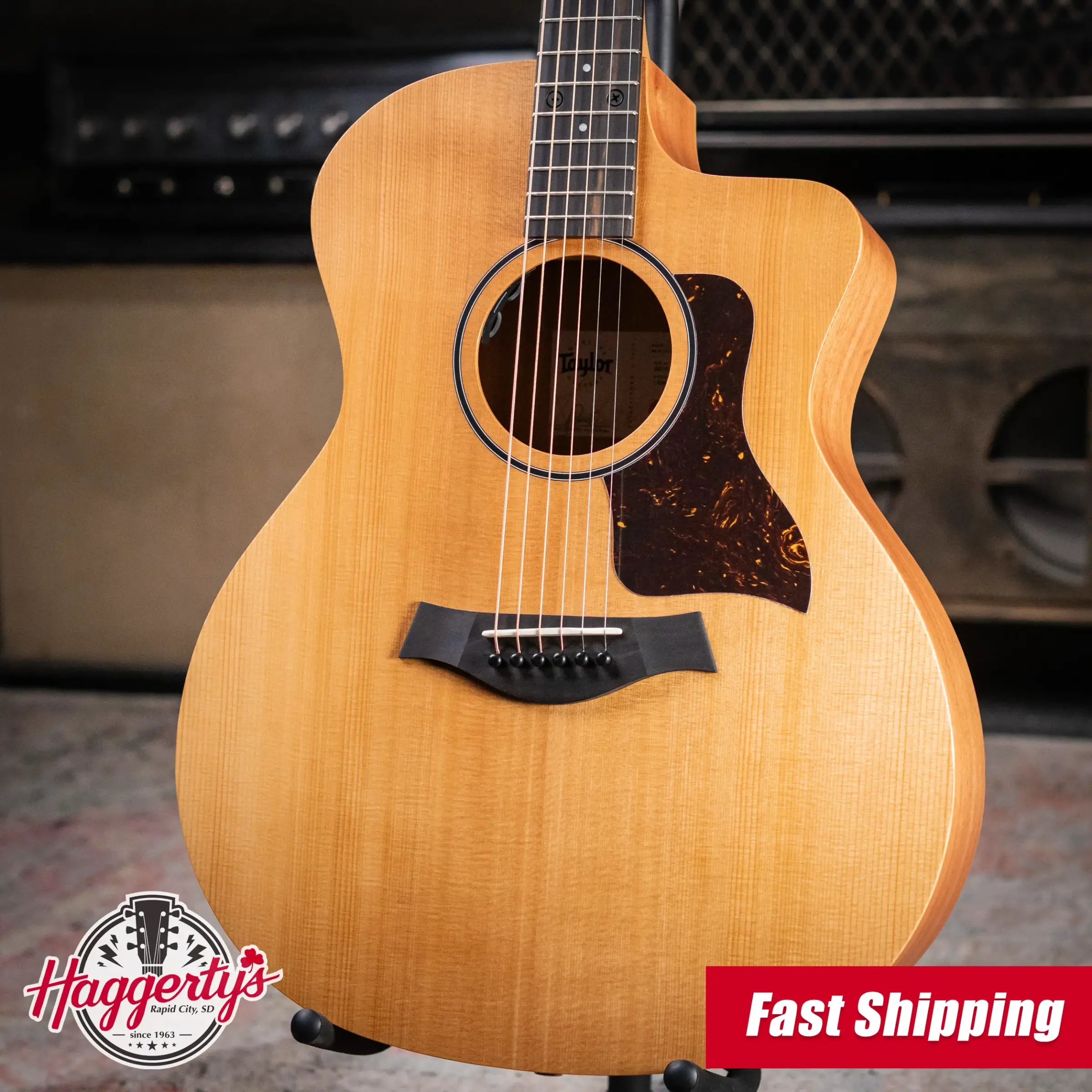 Taylor 14ce Grand Auditorium Acoustic/Electric Guitar with Gig Bag