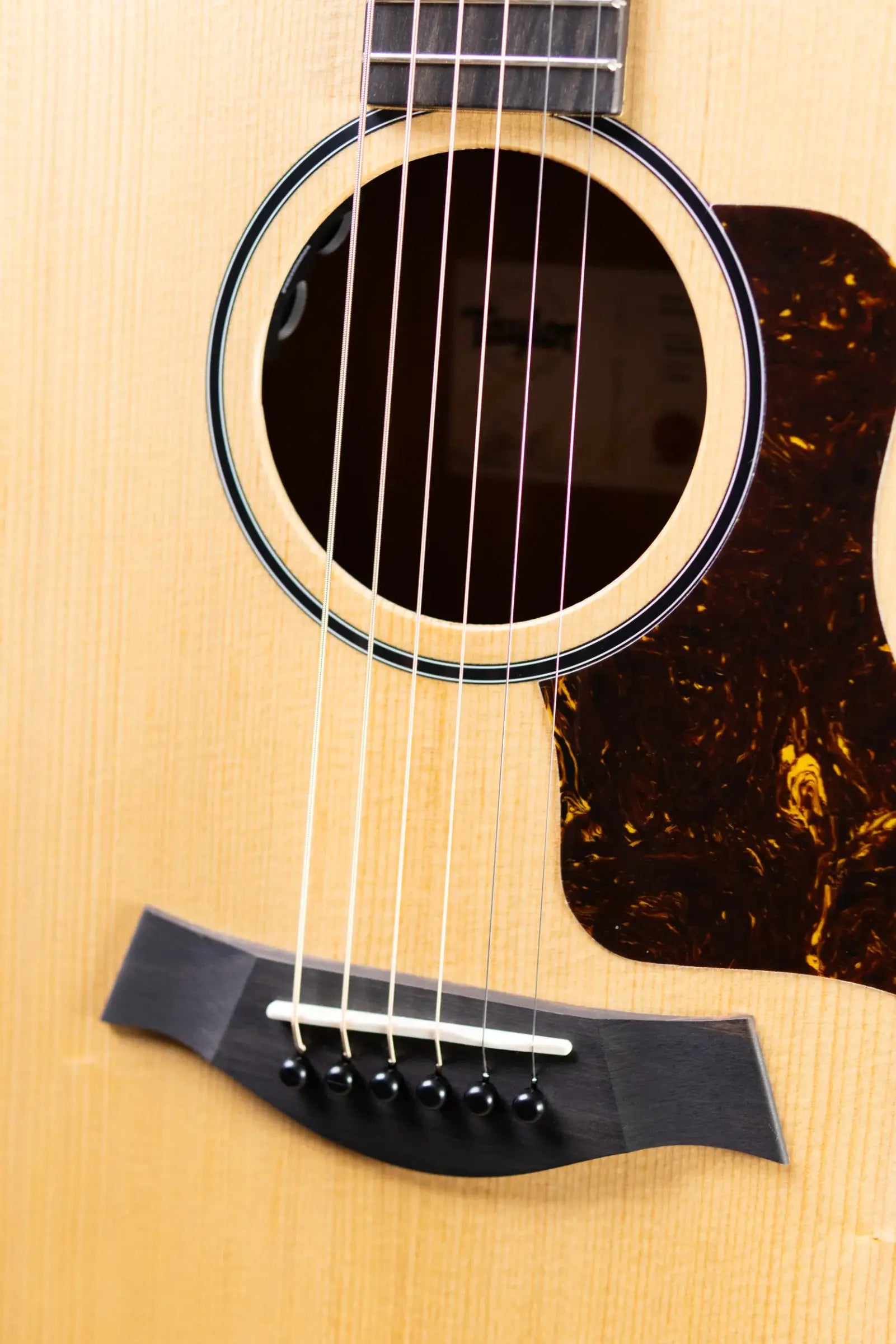 Taylor 14ce Grand Auditorium Acoustic/Electric Guitar with Gig Bag