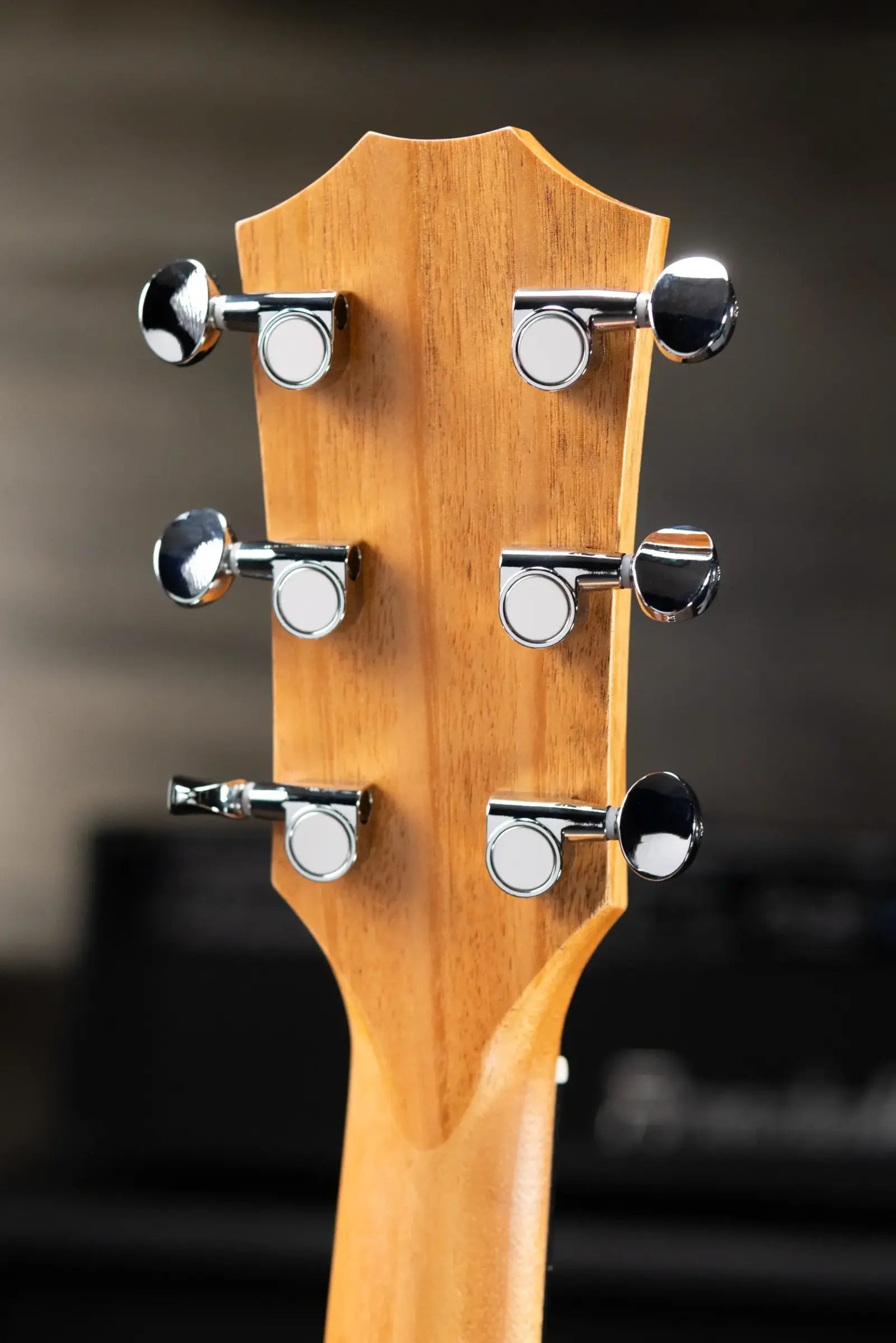 Taylor 14ce Grand Auditorium Acoustic/Electric Guitar with Gig Bag