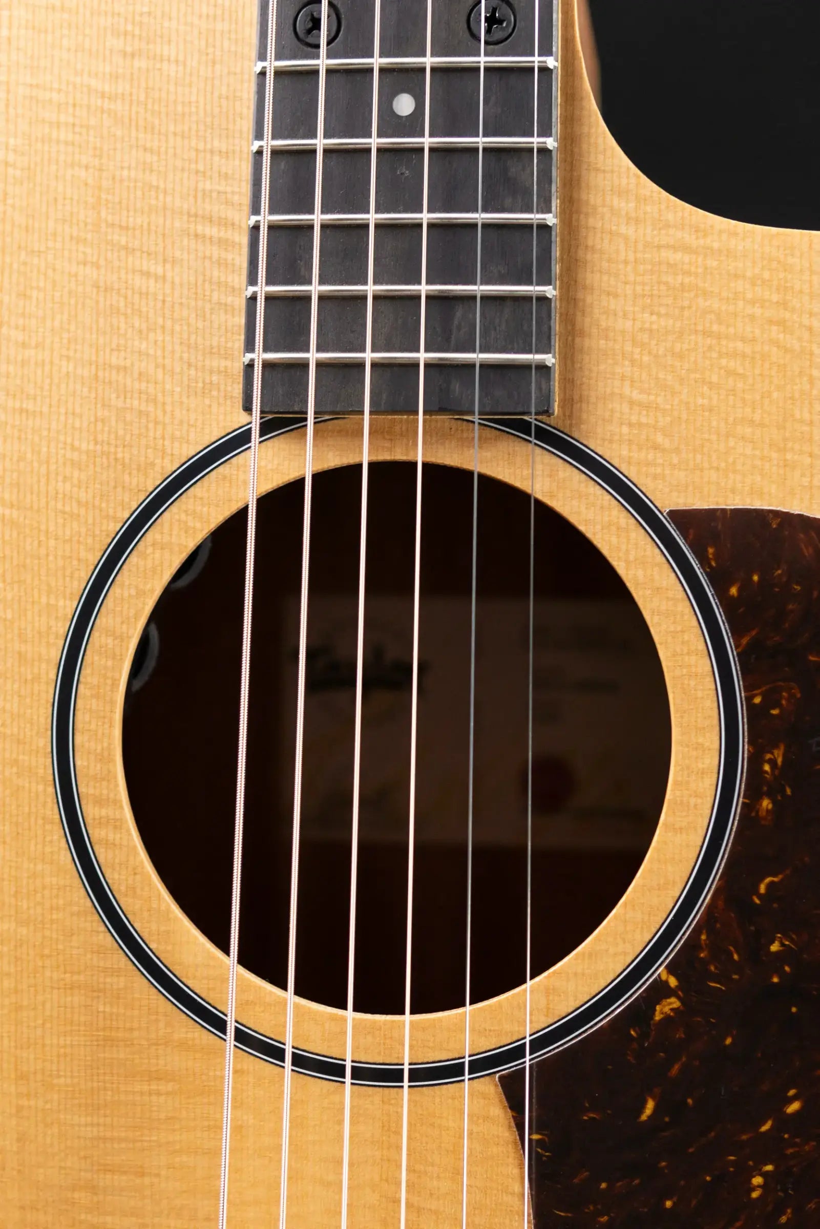 Taylor 14ce Grand Auditorium Acoustic/Electric Guitar with Gig Bag