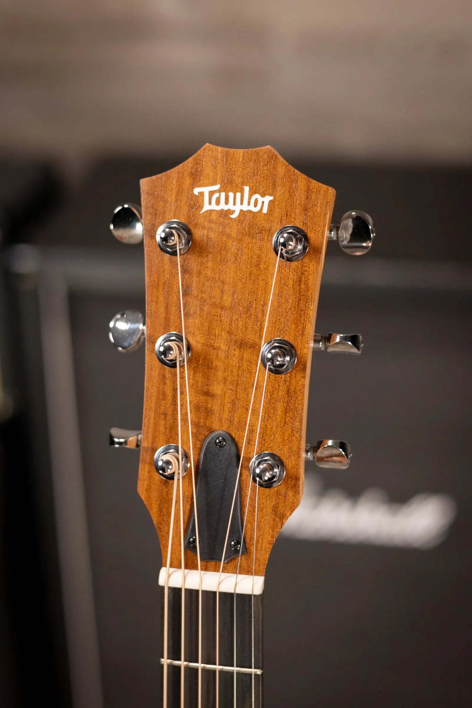 Taylor 14ce Grand Auditorium Acoustic/Electric Guitar with Gig Bag