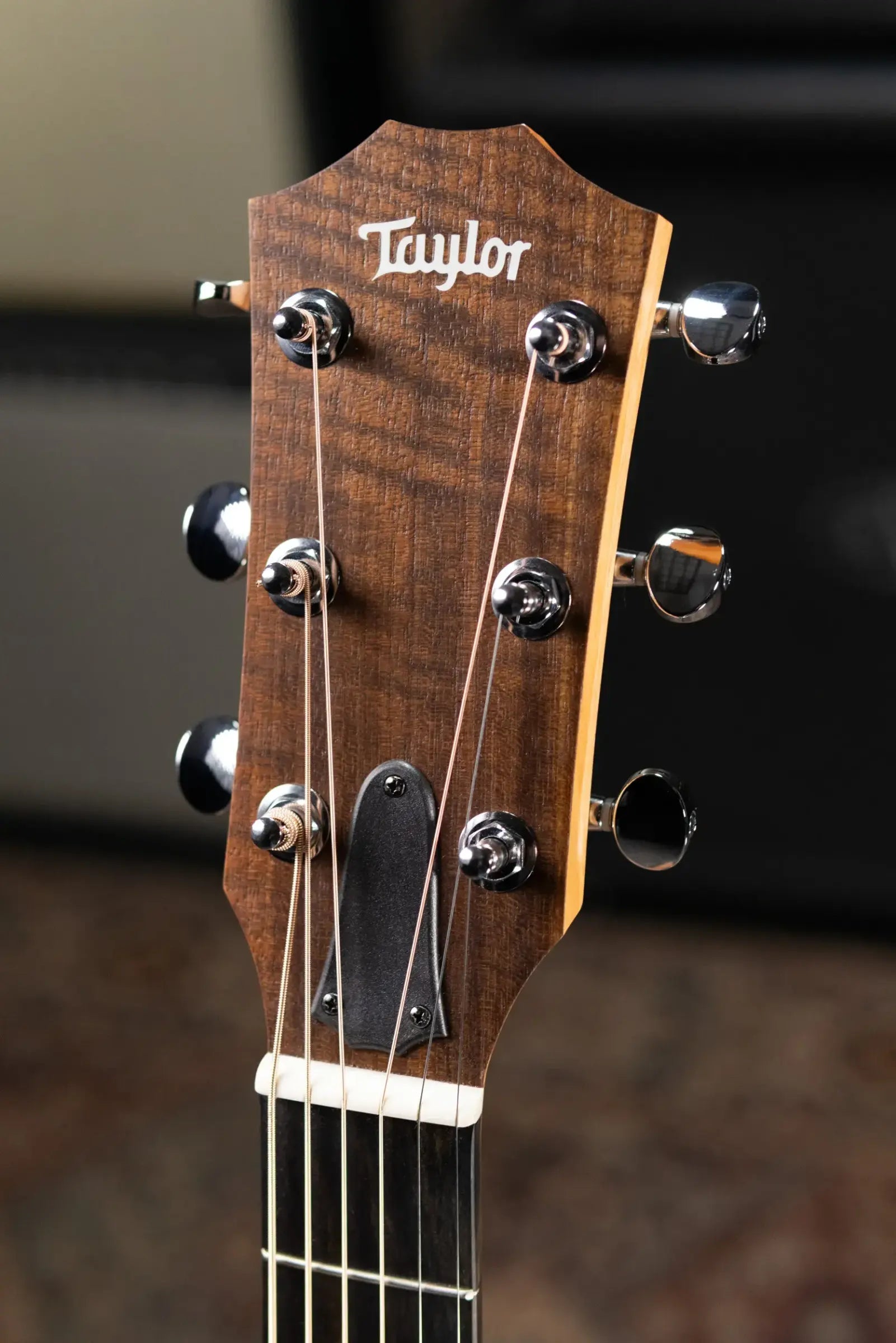 Taylor 14ce Grand Auditorium Acoustic/Electric Guitar with Gig Bag