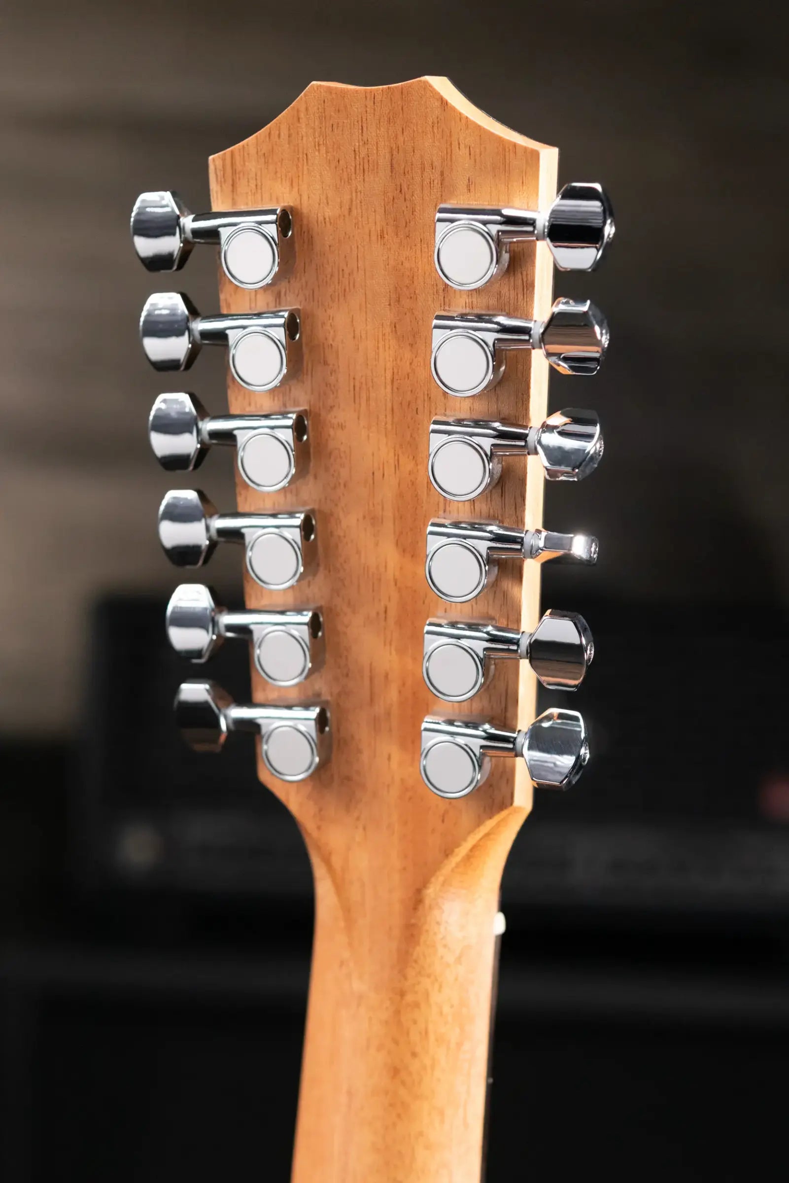 Taylor 150ce 12-String Dreadnought Acoustic/Electric Guitar with Gig Bag