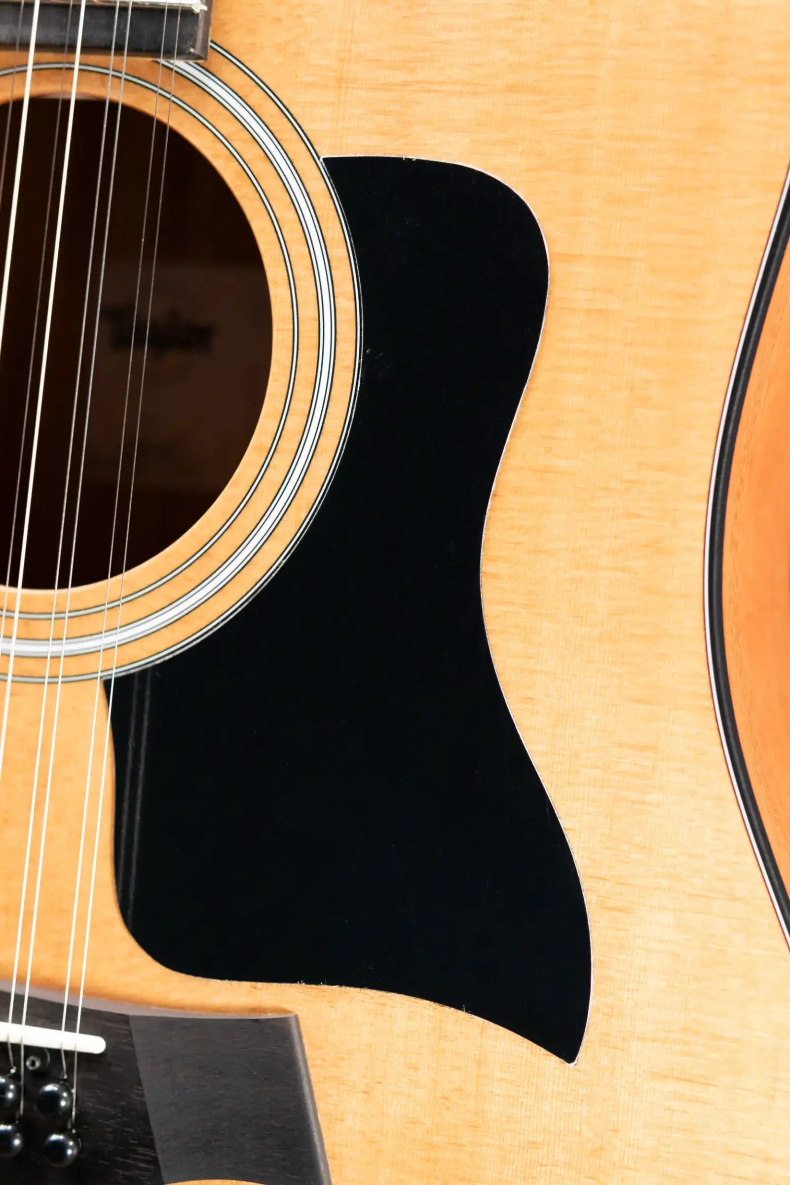 Taylor 150ce 12-String Dreadnought Acoustic/Electric Guitar with Gig Bag