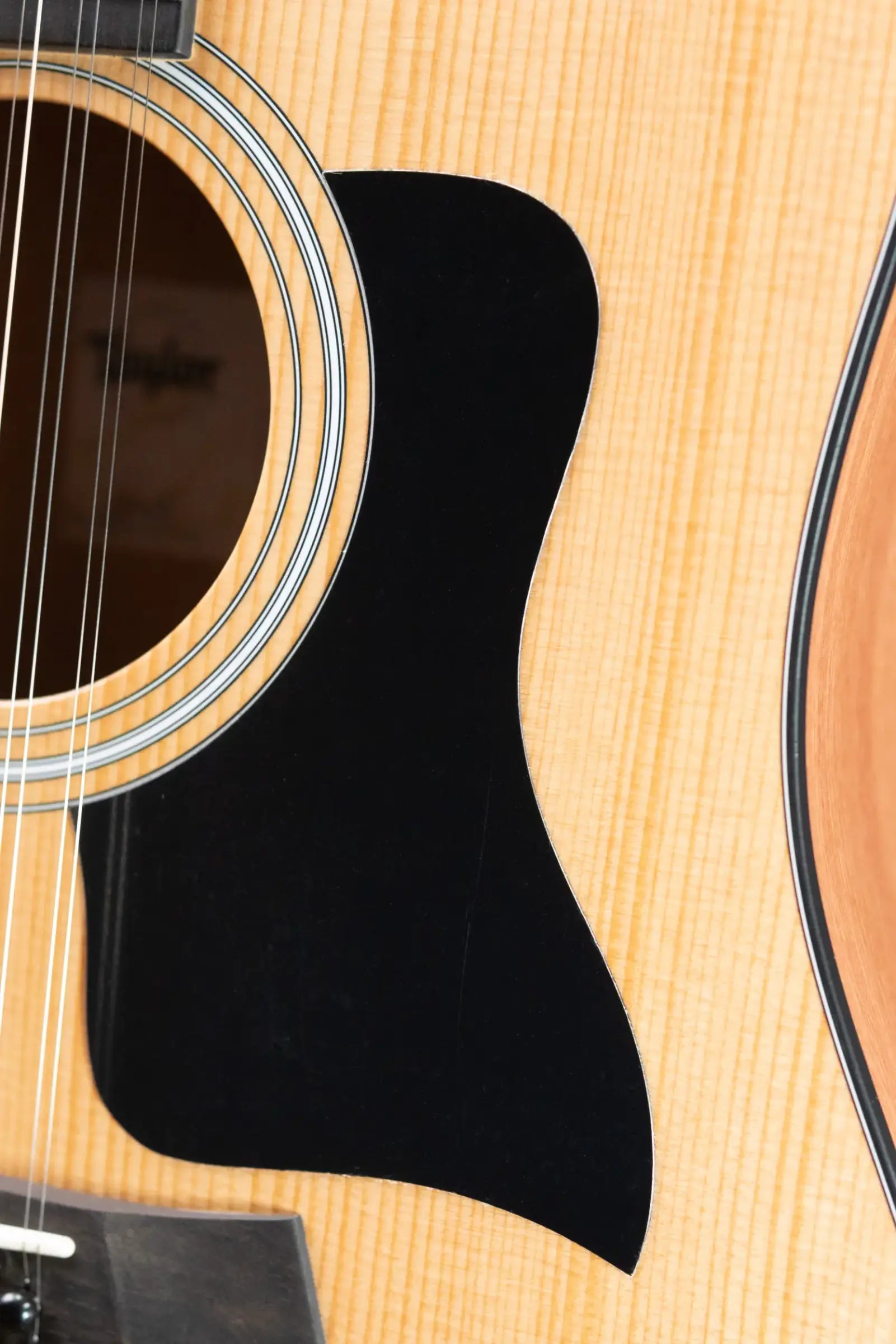 Taylor 150ce Dreadnought 12-String Acoustic/Electric Guitar with Gig Bag