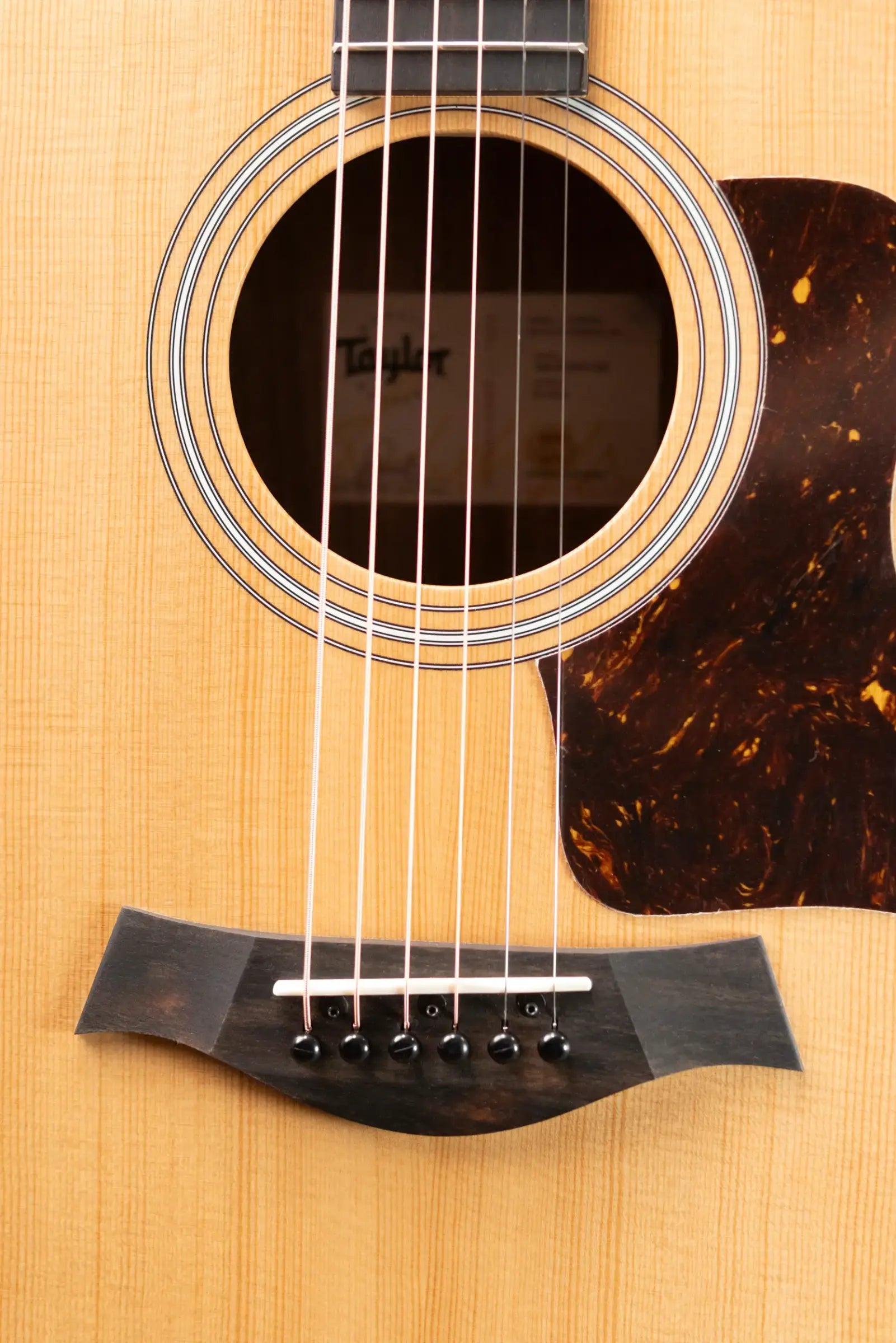 Taylor 210ce Dreadnought Acoustic/Electric Guitar with Gig Bag - Floor Demo