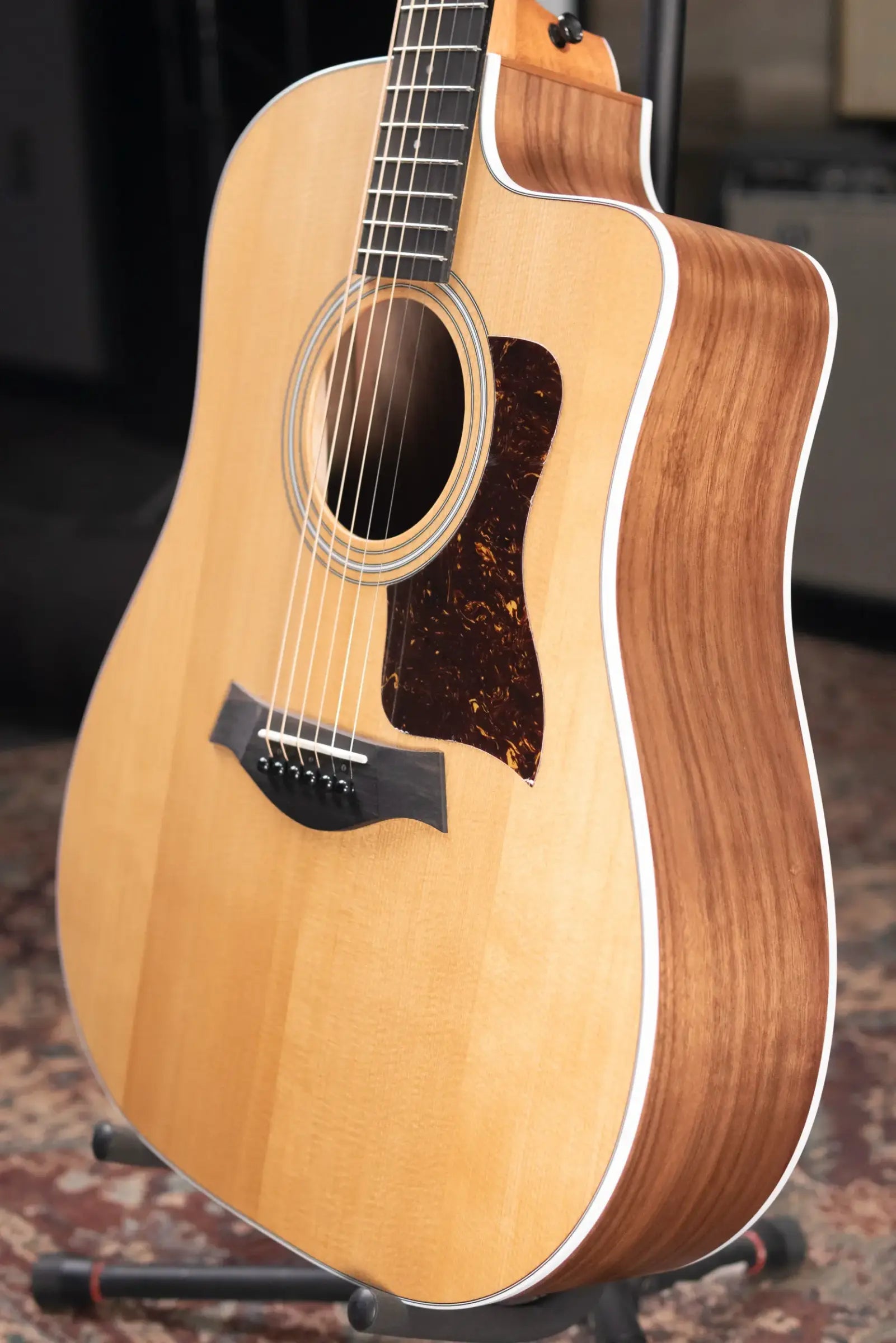 Taylor 210ce Dreadnought Acoustic/Electric Guitar with Gig Bag