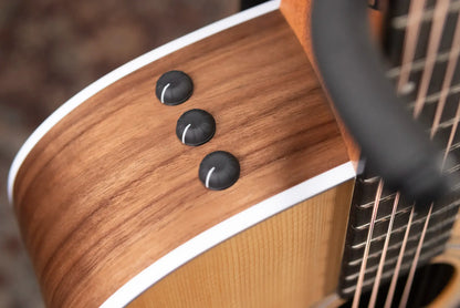 Taylor 210ce Dreadnought Acoustic/Electric Guitar with Gig Bag