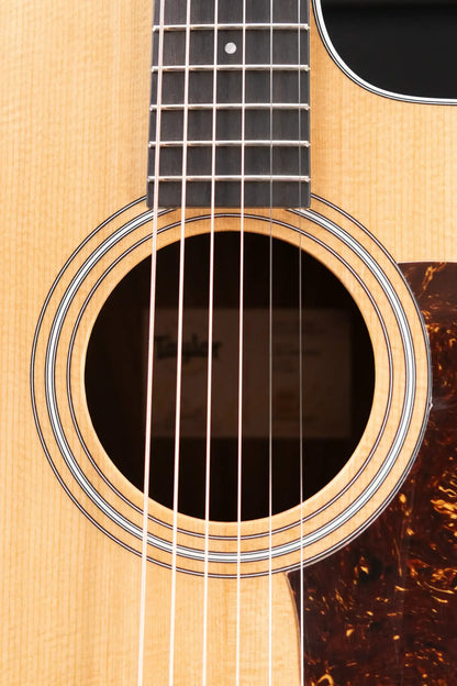 Taylor 210ce Dreadnought Acoustic/Electric Guitar with Gig Bag