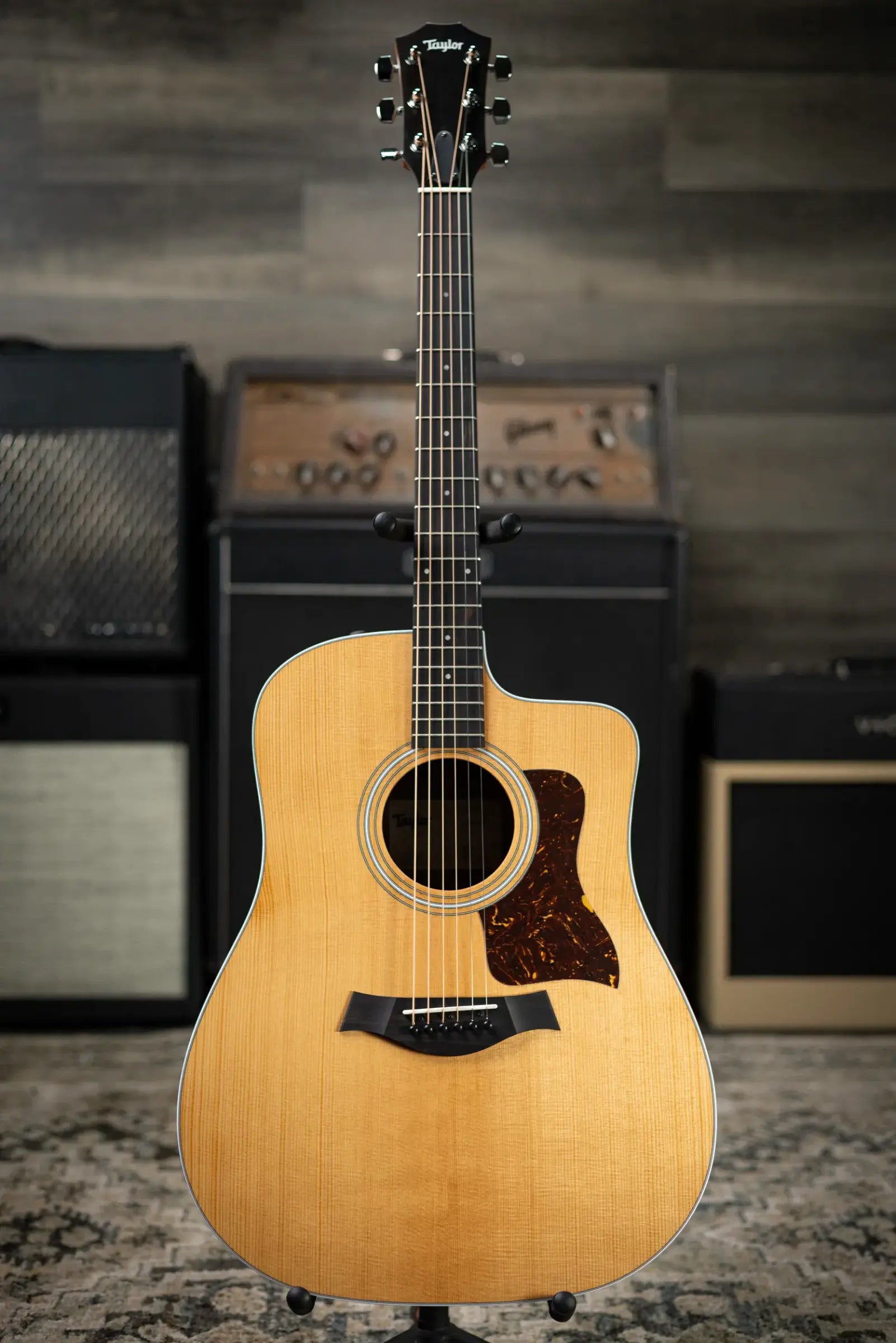 Taylor 210ce Dreadnought Acoustic/Electric Guitar with Gig Bag
