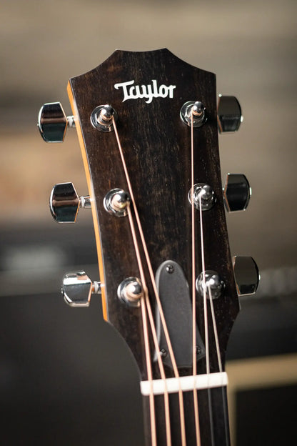 Taylor 210ce Dreadnought Acoustic/Electric Guitar with Gig Bag