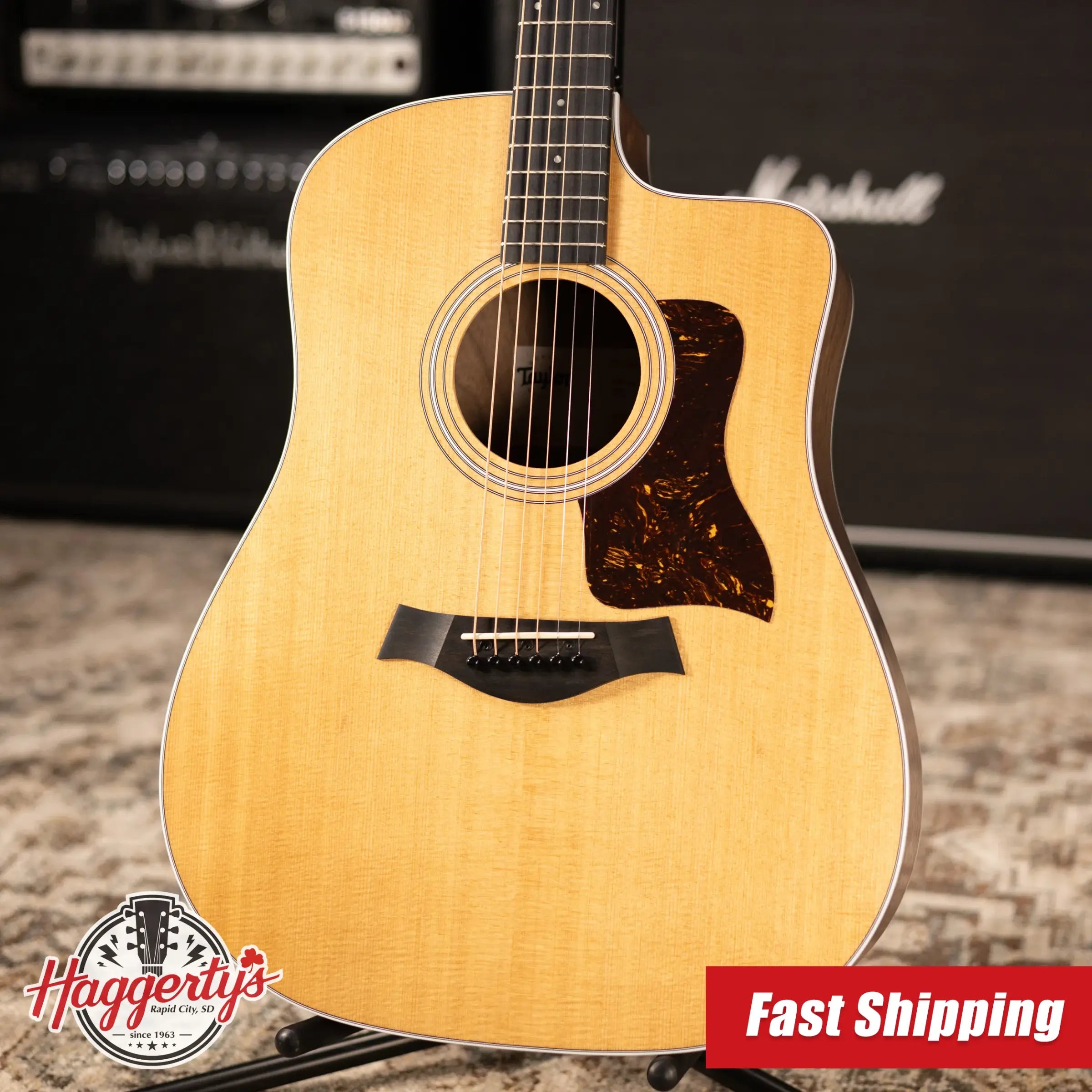 Taylor 210ce Dreadnought Acoustic/Electric Guitar with Gig Bag - Factory Demo