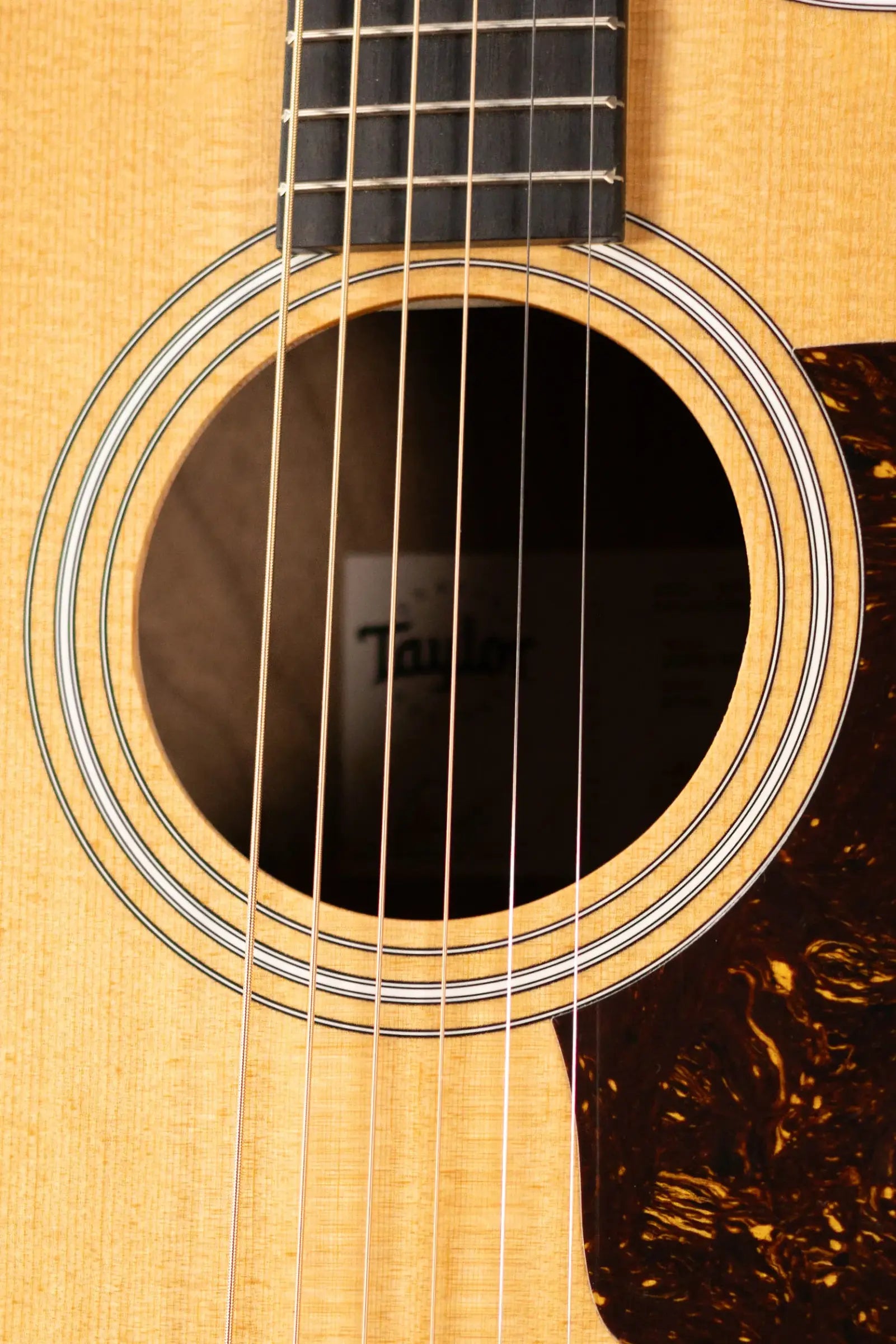 Taylor 210ce Dreadnought Acoustic/Electric Guitar with Gig Bag