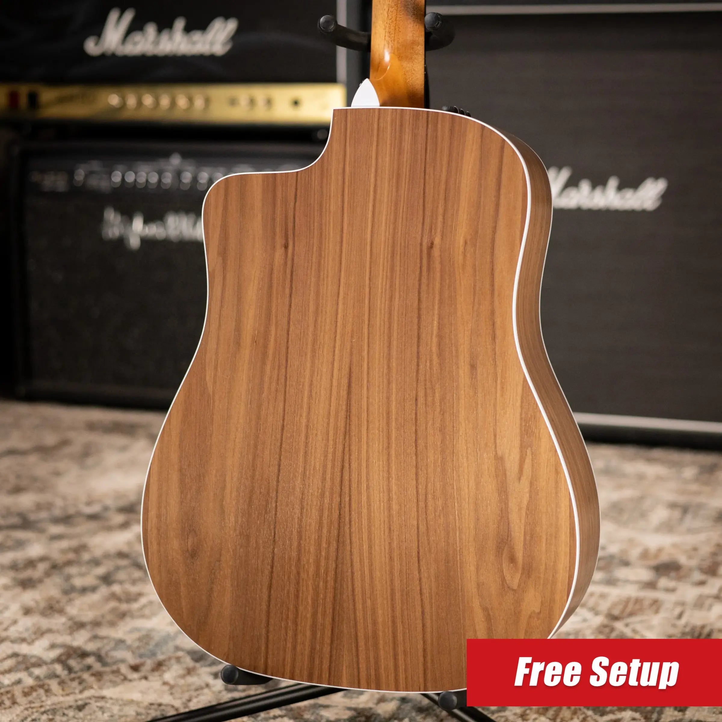 Taylor 210ce Dreadnought Acoustic/Electric Guitar with Gig Bag