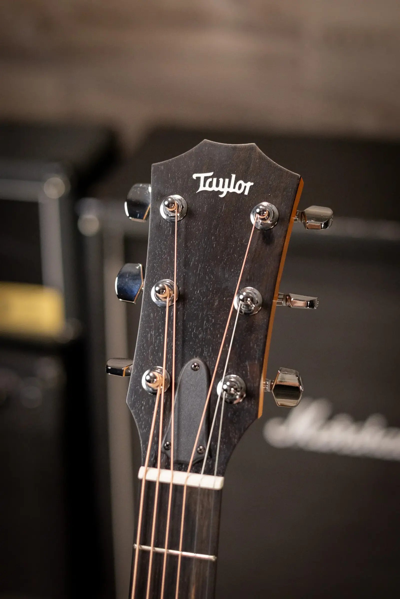 Taylor 210ce Dreadnought Acoustic/Electric Guitar with Gig Bag