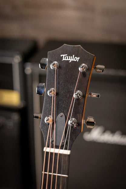 Taylor 210ce Dreadnought Acoustic/Electric Guitar with Gig Bag