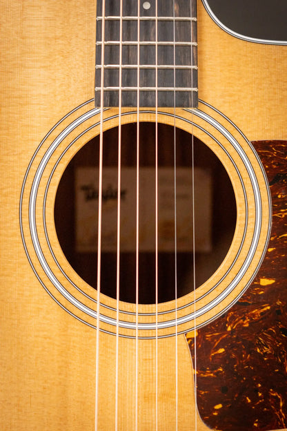 Taylor 210ce Dreadnought Acoustic/Electric Guitar with Gig Bag