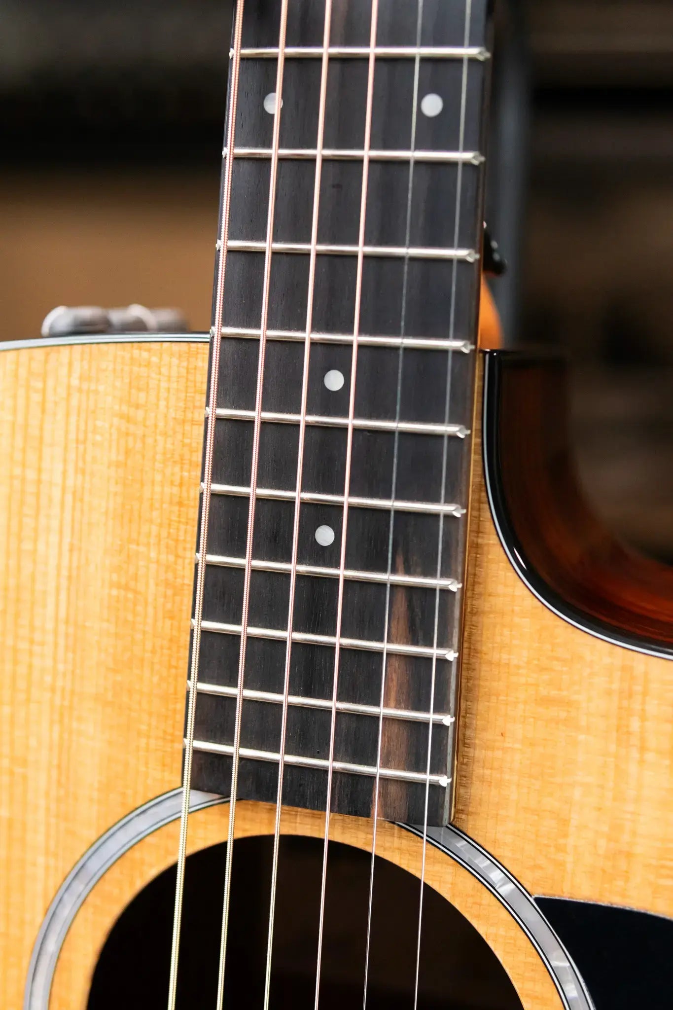 Taylor 210ce Plus Dreadnought Acoustic/Electric Guitar with Aerocase - Factory Demo