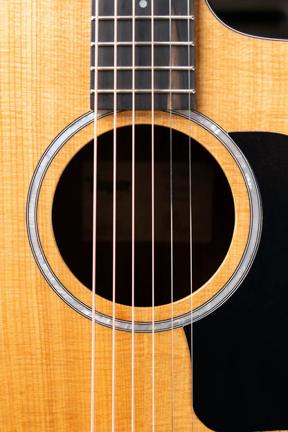 Taylor 210ce Plus Dreadnought Acoustic/Electric Guitar with Aerocase - Factory Demo