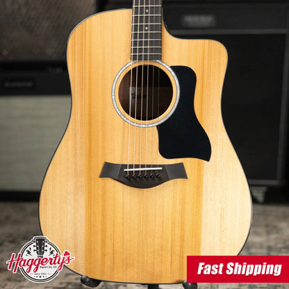 Taylor 210ce Plus Dreadnought Acoustic/Electric Guitar with Aerocase - Factory Demo