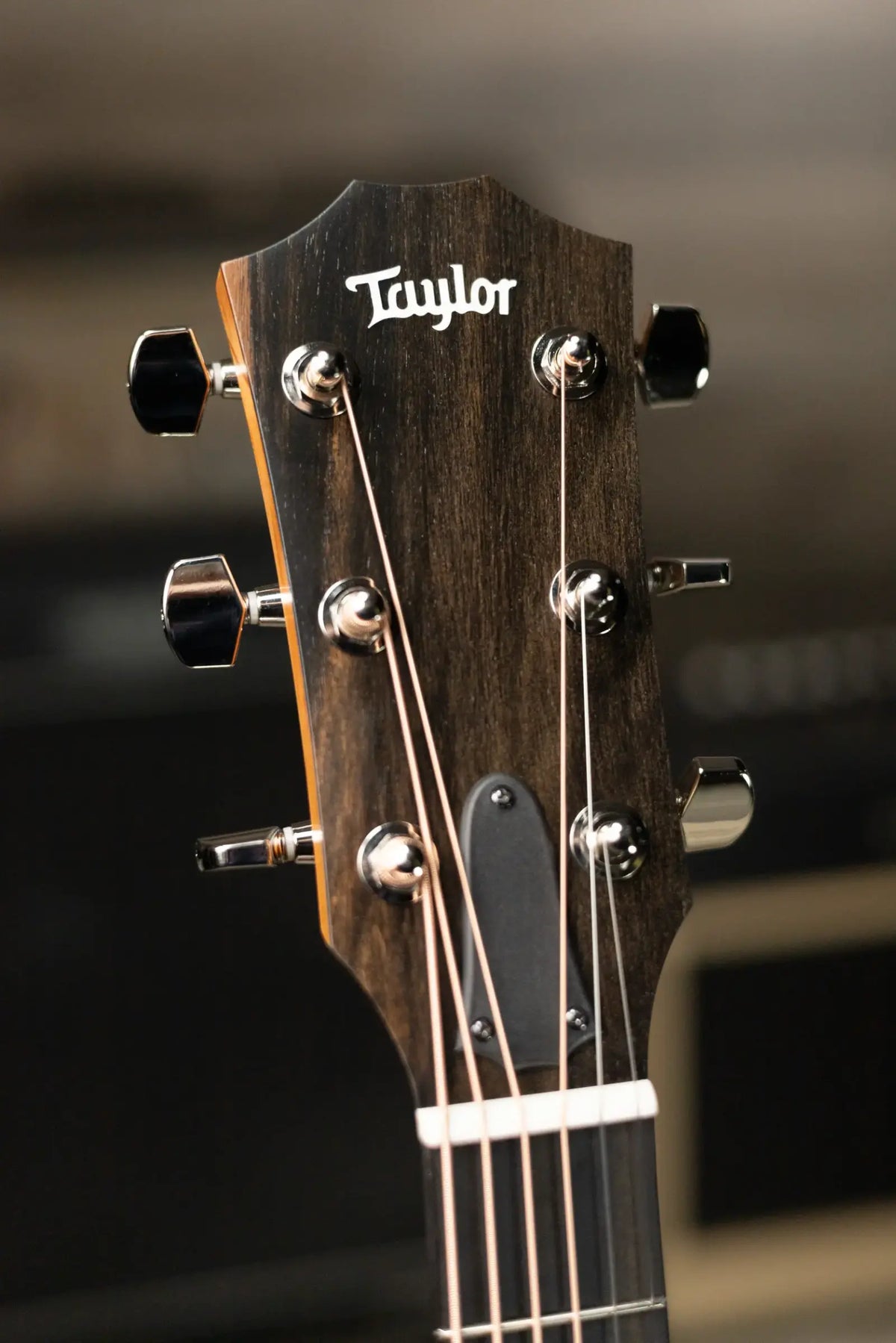 Taylor 210ce Plus Dreadnought Acoustic/Electric Guitar with Aerocase - Factory Demo