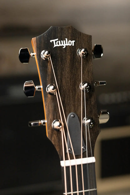 Taylor 210ce Plus Dreadnought Acoustic/Electric Guitar with Aerocase - Factory Demo
