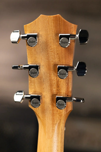 Taylor 210ce Plus Dreadnought Acoustic/Electric Guitar with Aerocase - Factory Demo