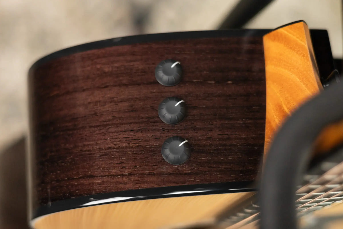Taylor 210ce Plus Dreadnought Acoustic/Electric Guitar with Aerocase - Factory Demo