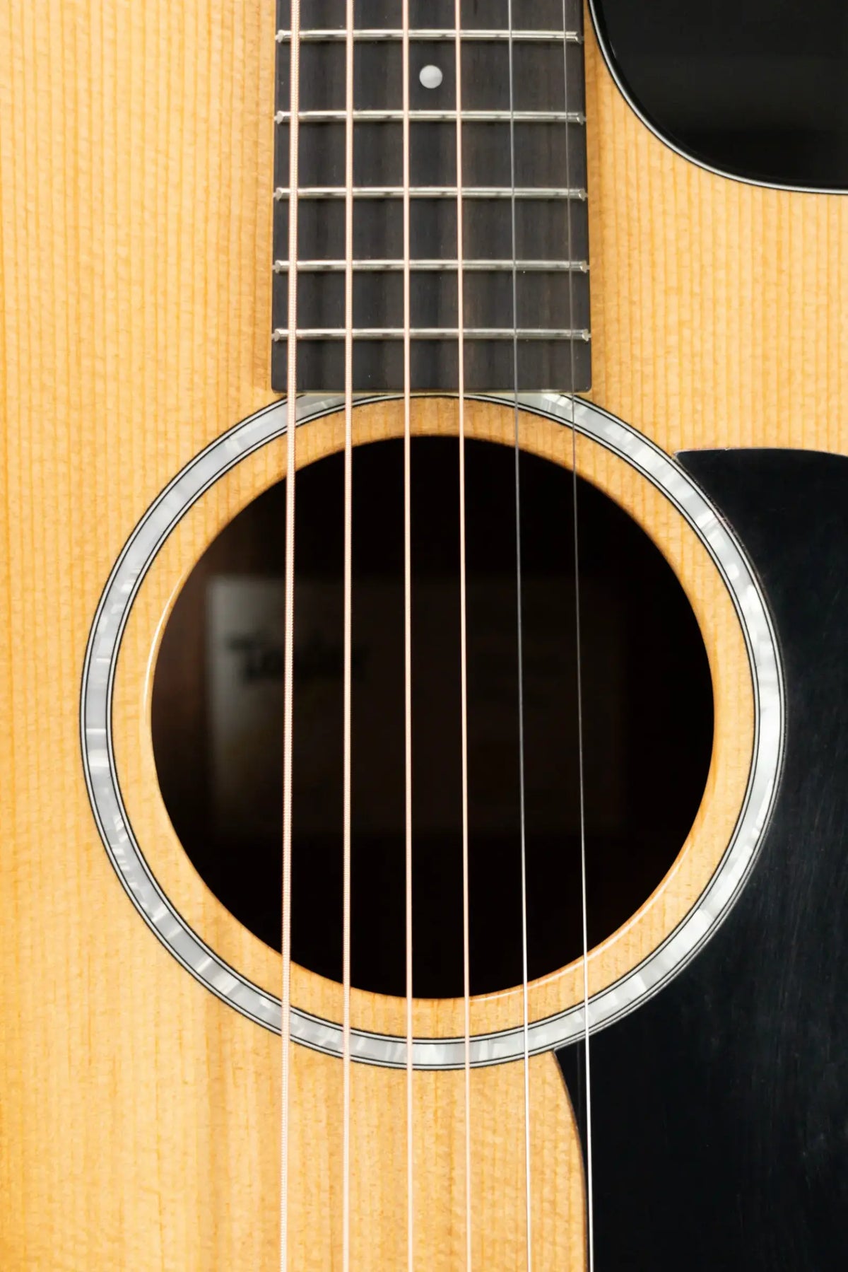 Taylor 210ce Plus Dreadnought Acoustic/Electric Guitar with Aerocase - Factory Demo