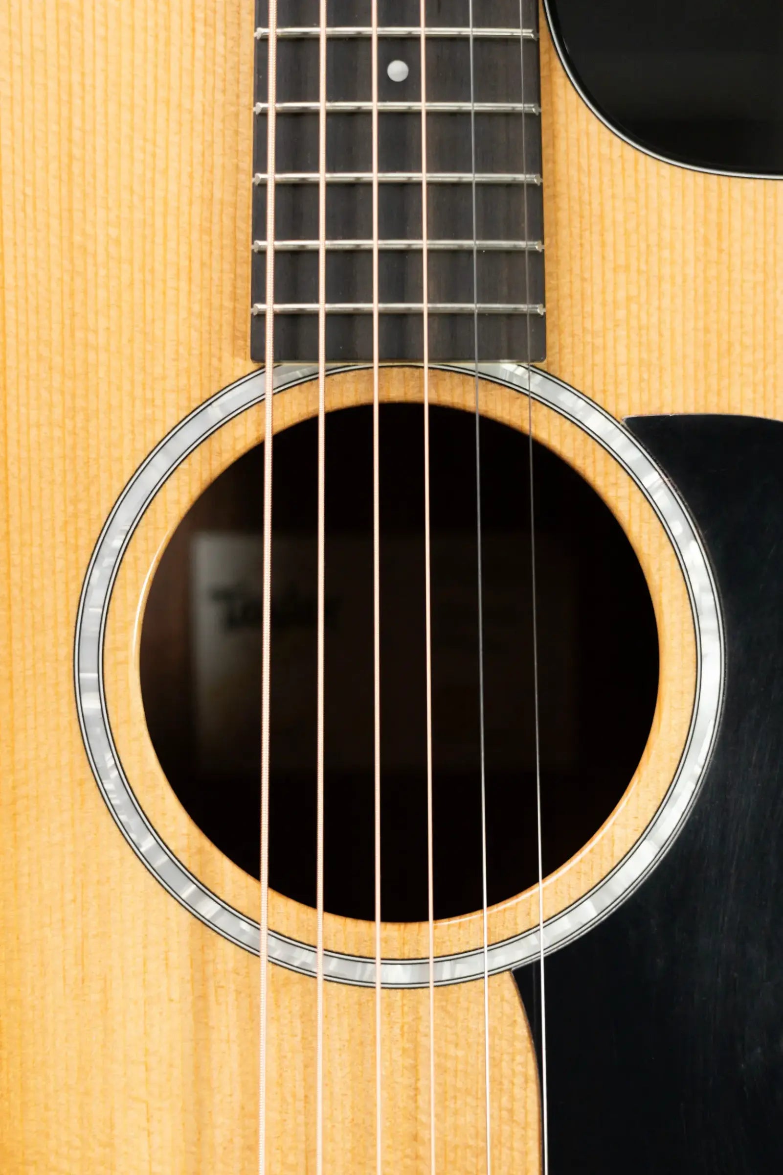 Taylor 210ce Plus Dreadnought Acoustic/Electric Guitar with Aerocase