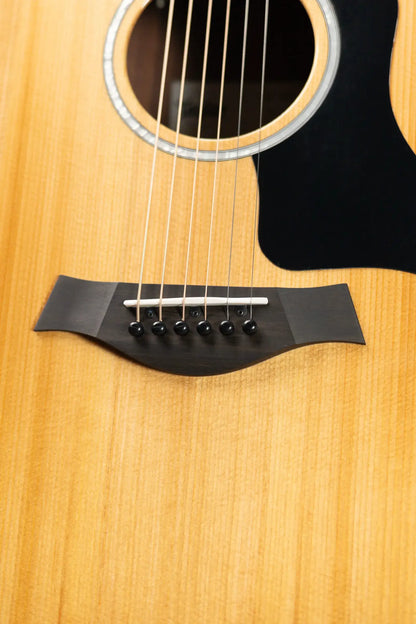 Taylor 210ce Plus Dreadnought Acoustic/Electric Guitar with Aerocase - Factory Demo