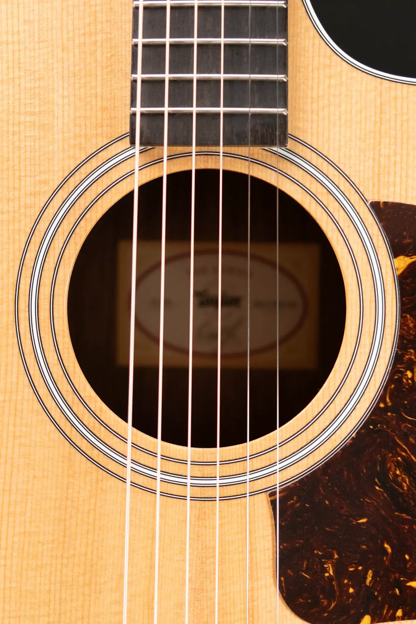 Taylor 212ce Grand Concert Acoustic/Electric Guitar with Gig Bag