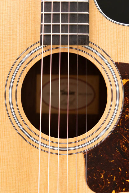Taylor 212ce Grand Concert Acoustic/Electric Guitar with Gig Bag