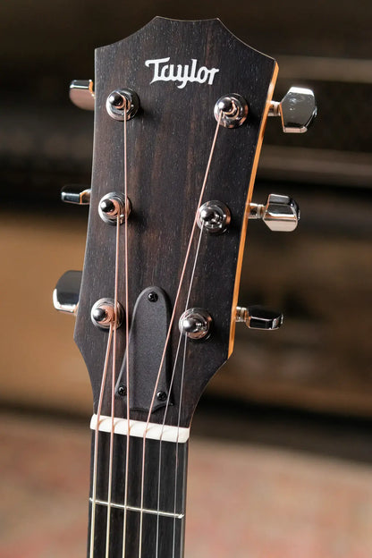 Taylor 212ce Grand Concert Acoustic/Electric Guitar with Gig Bag