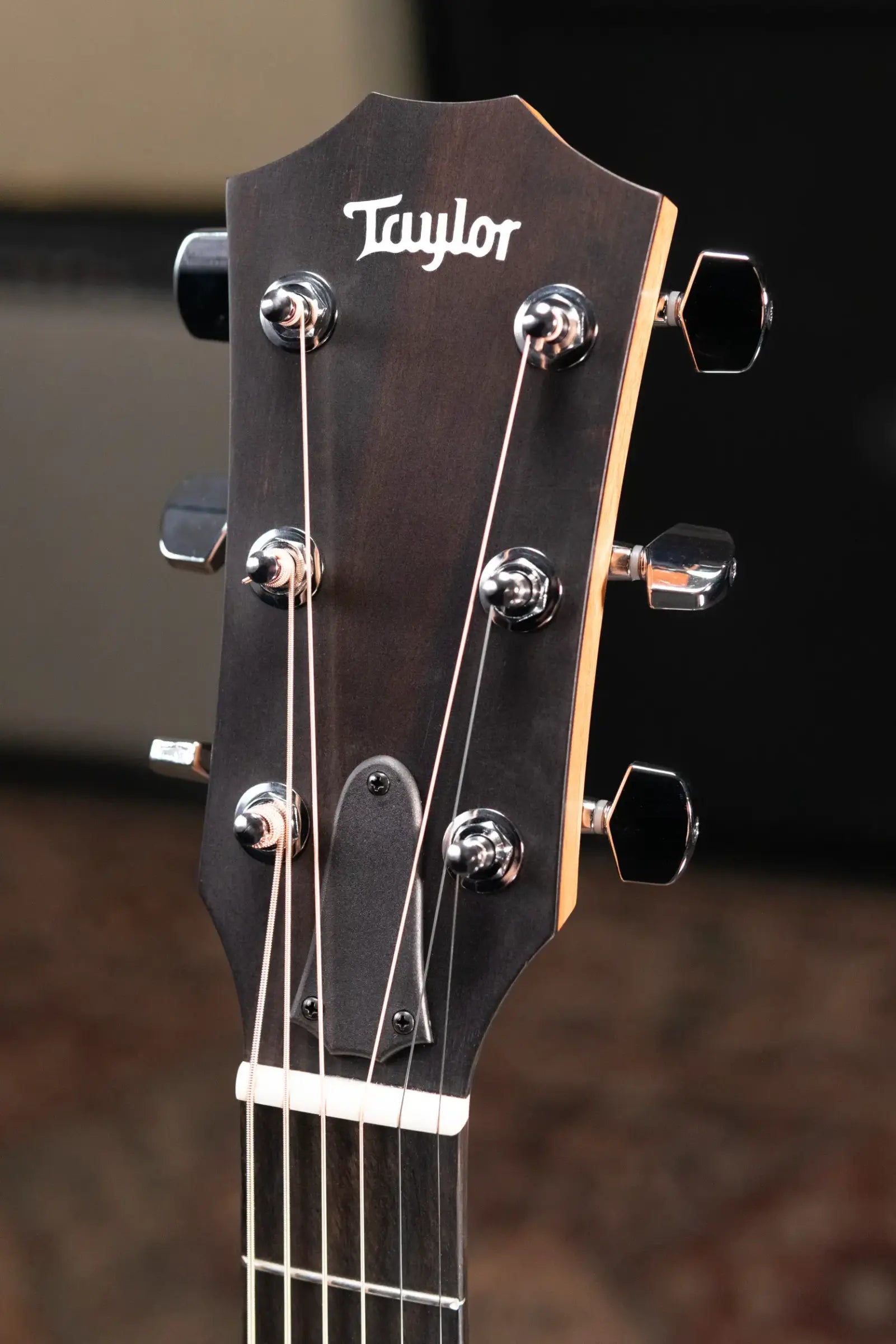 Taylor 212ce Grand Concert Acoustic/Electric Guitar with Gig Bag