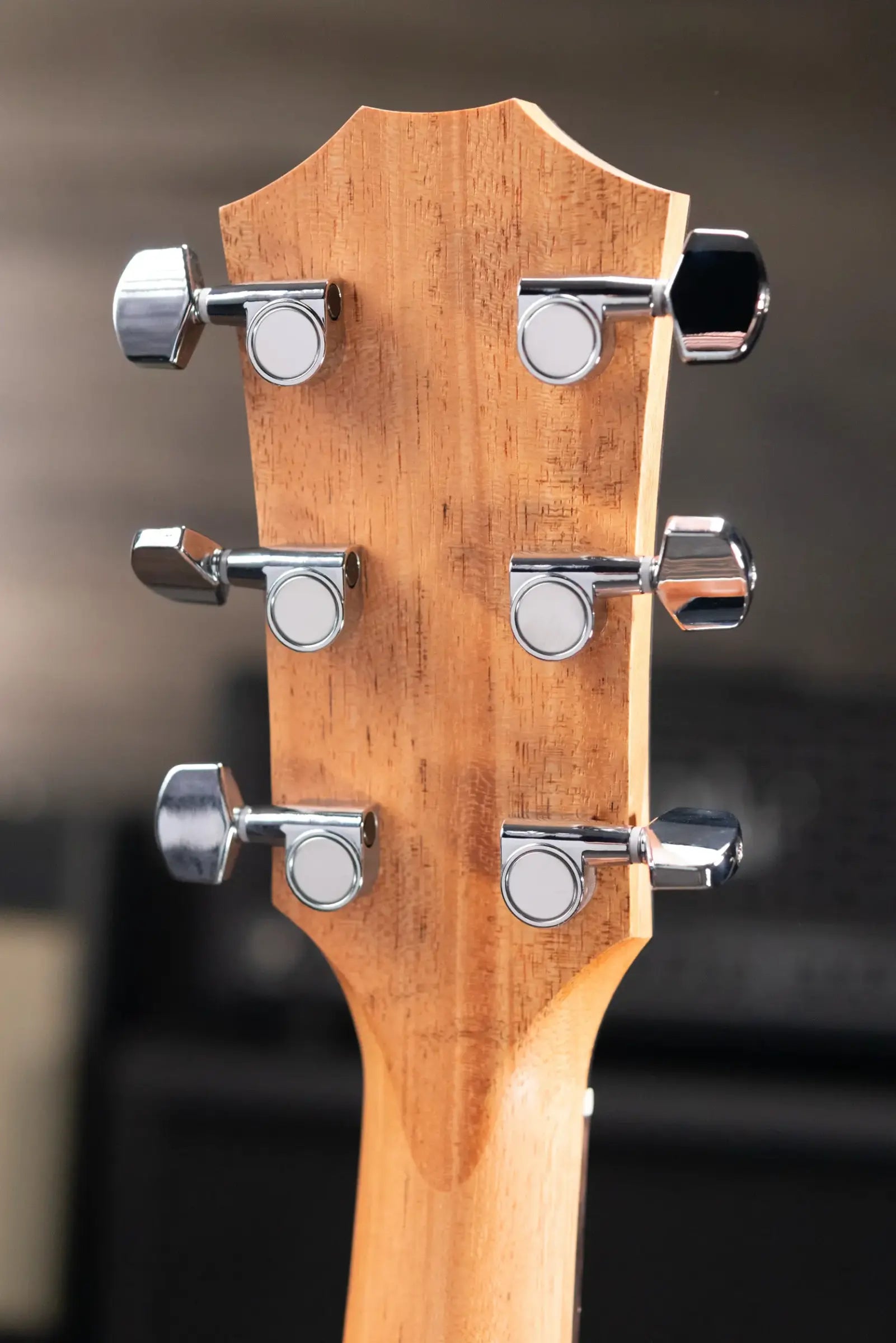 Taylor 212ce Grand Concert Acoustic/Electric Guitar with Gig Bag