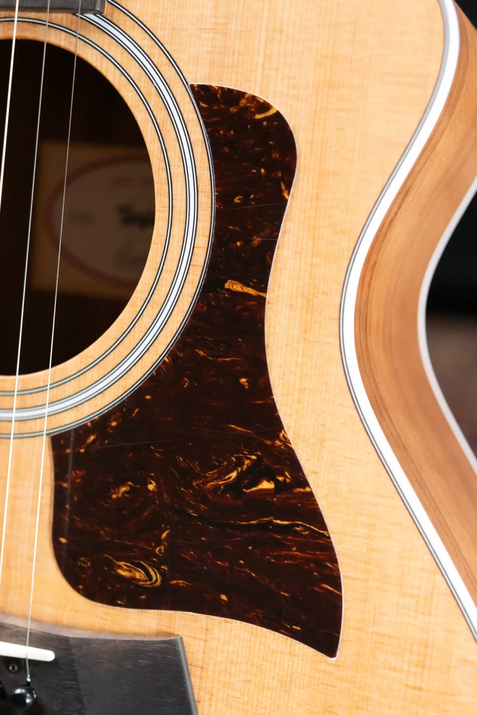 Taylor 212ce Grand Concert Acoustic/Electric Guitar with Gig Bag