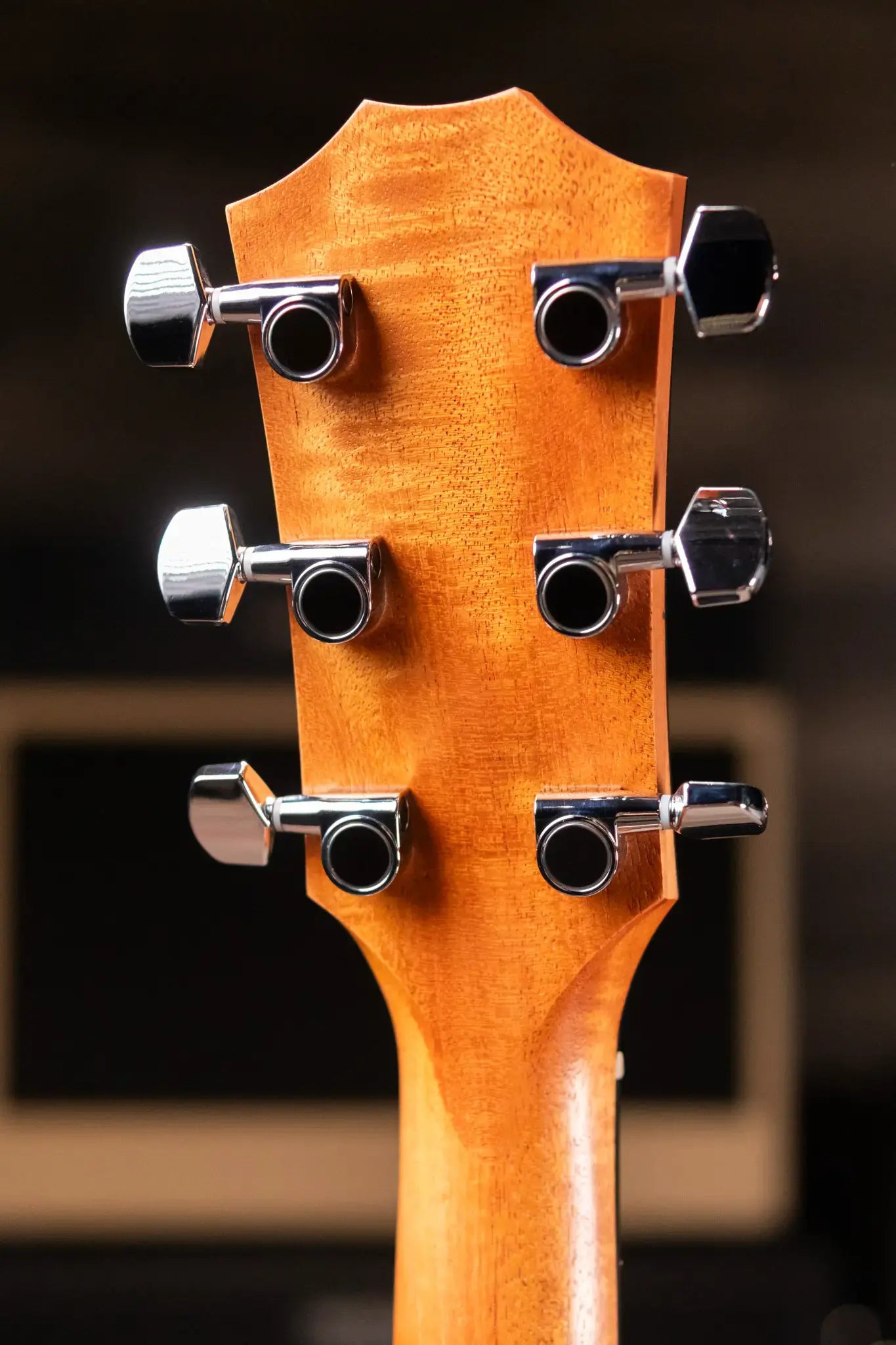 Taylor 212ce Grand Concert Acoustic/Electric Guitar with Gig Bag