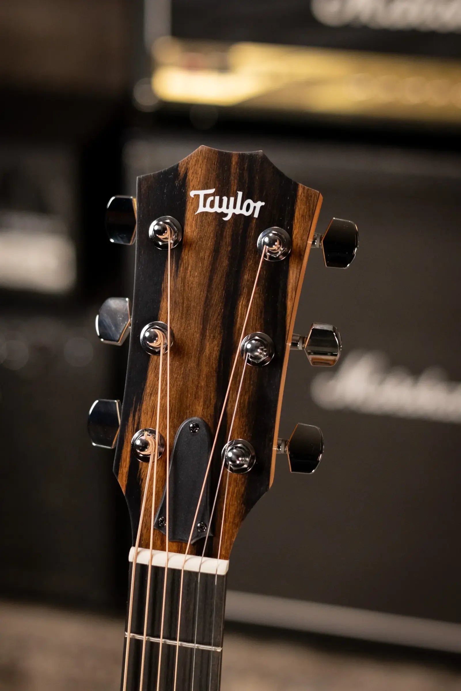 Taylor 212ce Grand Concert Acoustic/Electric Guitar with Gig Bag