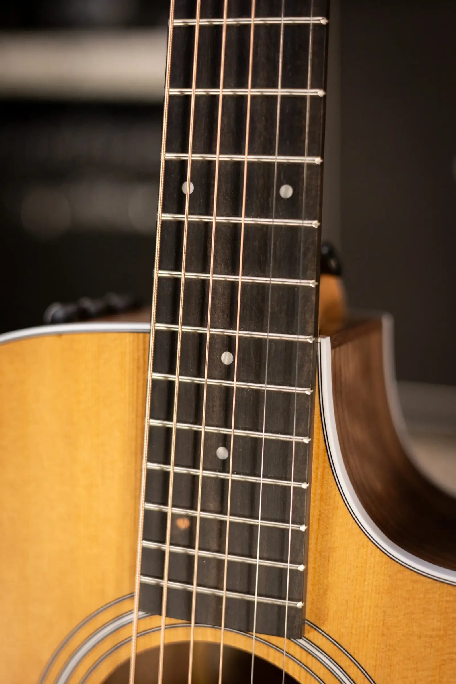 Taylor 212ce Grand Concert Acoustic/Electric Guitar with Gig Bag