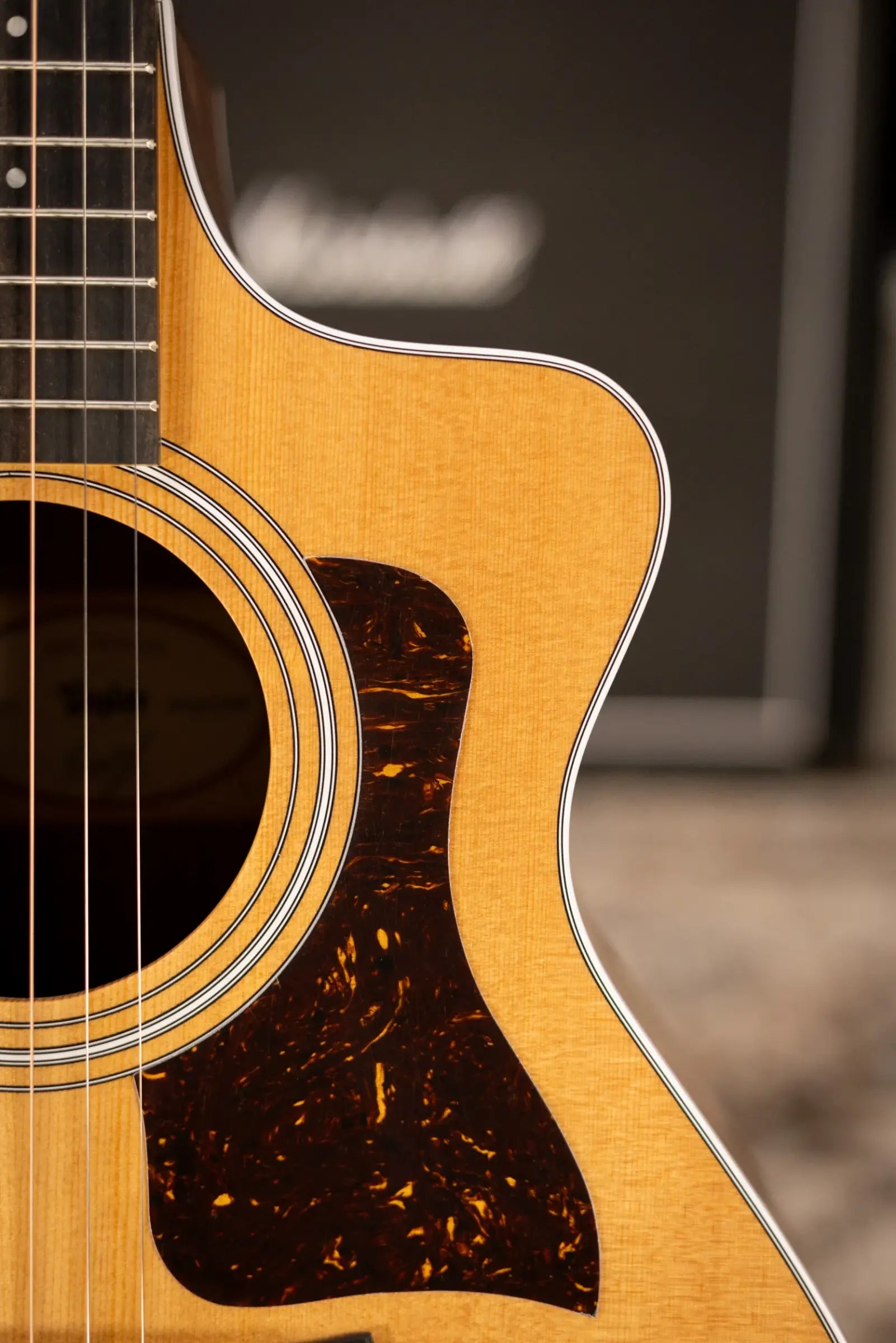 Taylor 212ce Grand Concert Acoustic/Electric Guitar with Gig Bag