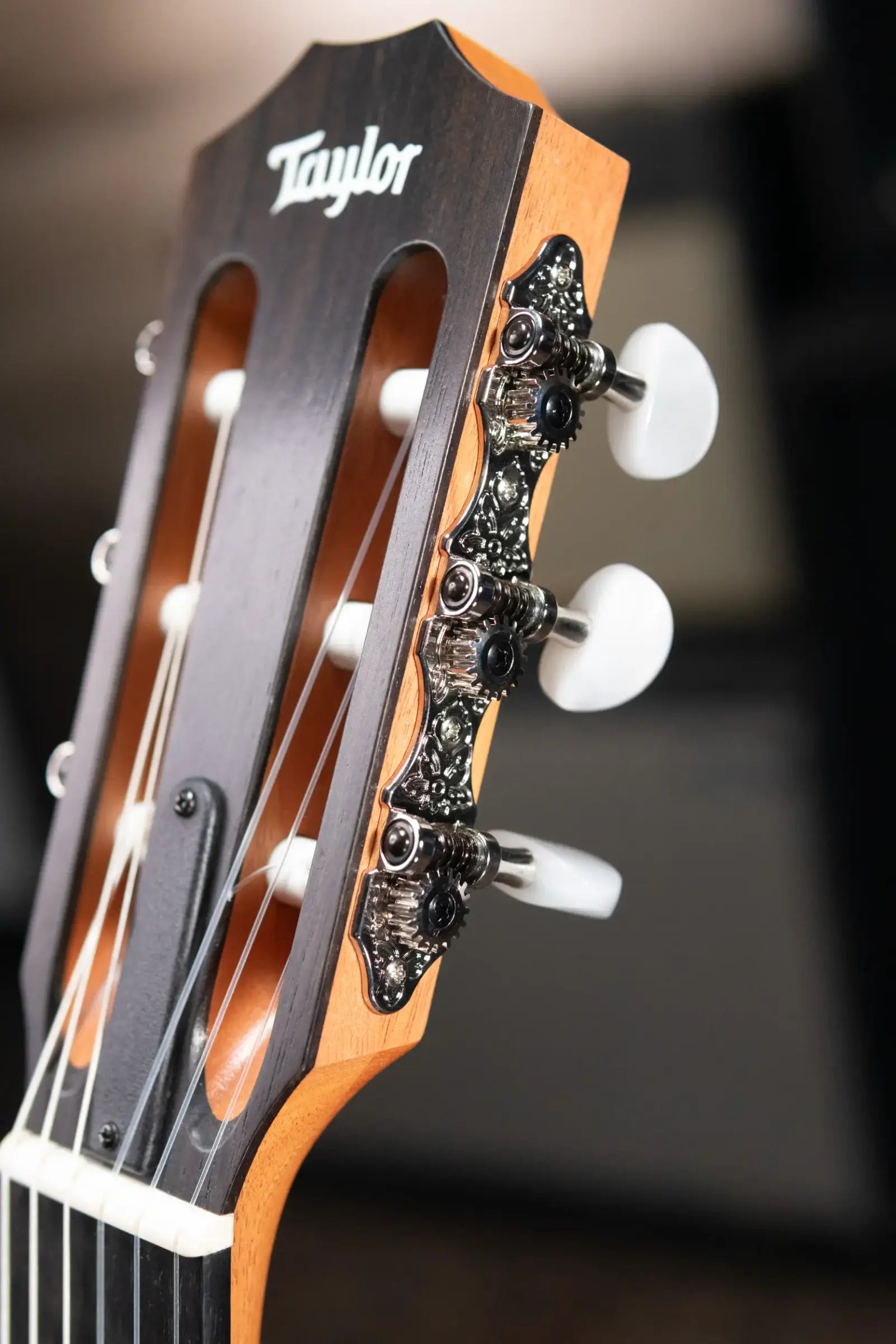 Taylor 212ce-N Plus Grand Concert Acoustic/Electric Guitar with Aerocase