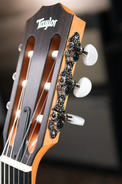 Taylor 212ce-N Plus Grand Concert Acoustic/Electric Guitar with Aerocase