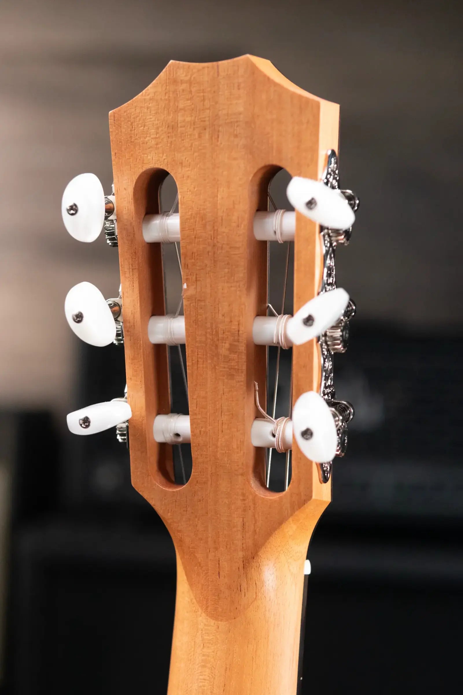 Taylor 212ce-N Plus Grand Concert Acoustic/Electric Guitar with Aerocase